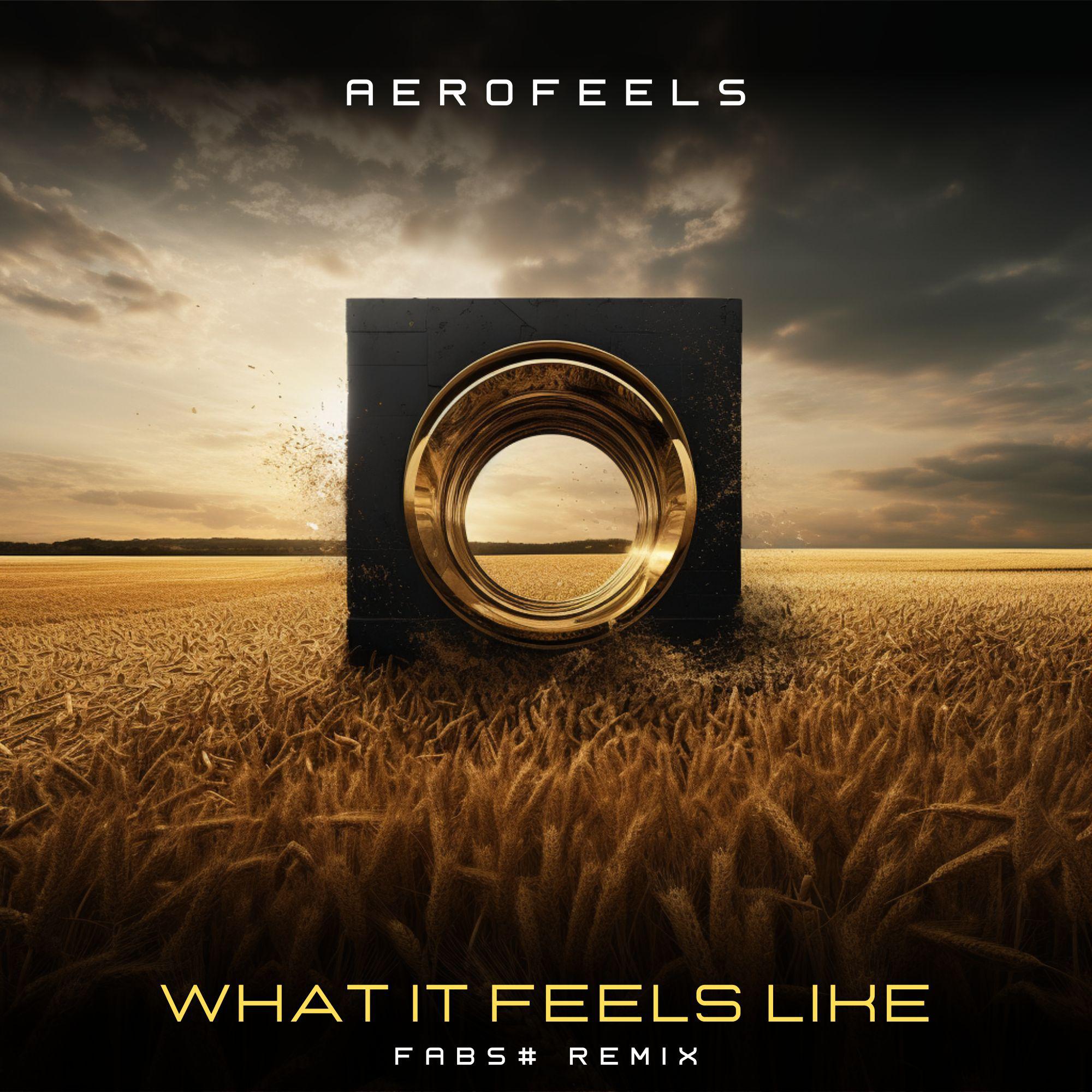 Постер альбома What It Feels Like (Fabs# Remix)