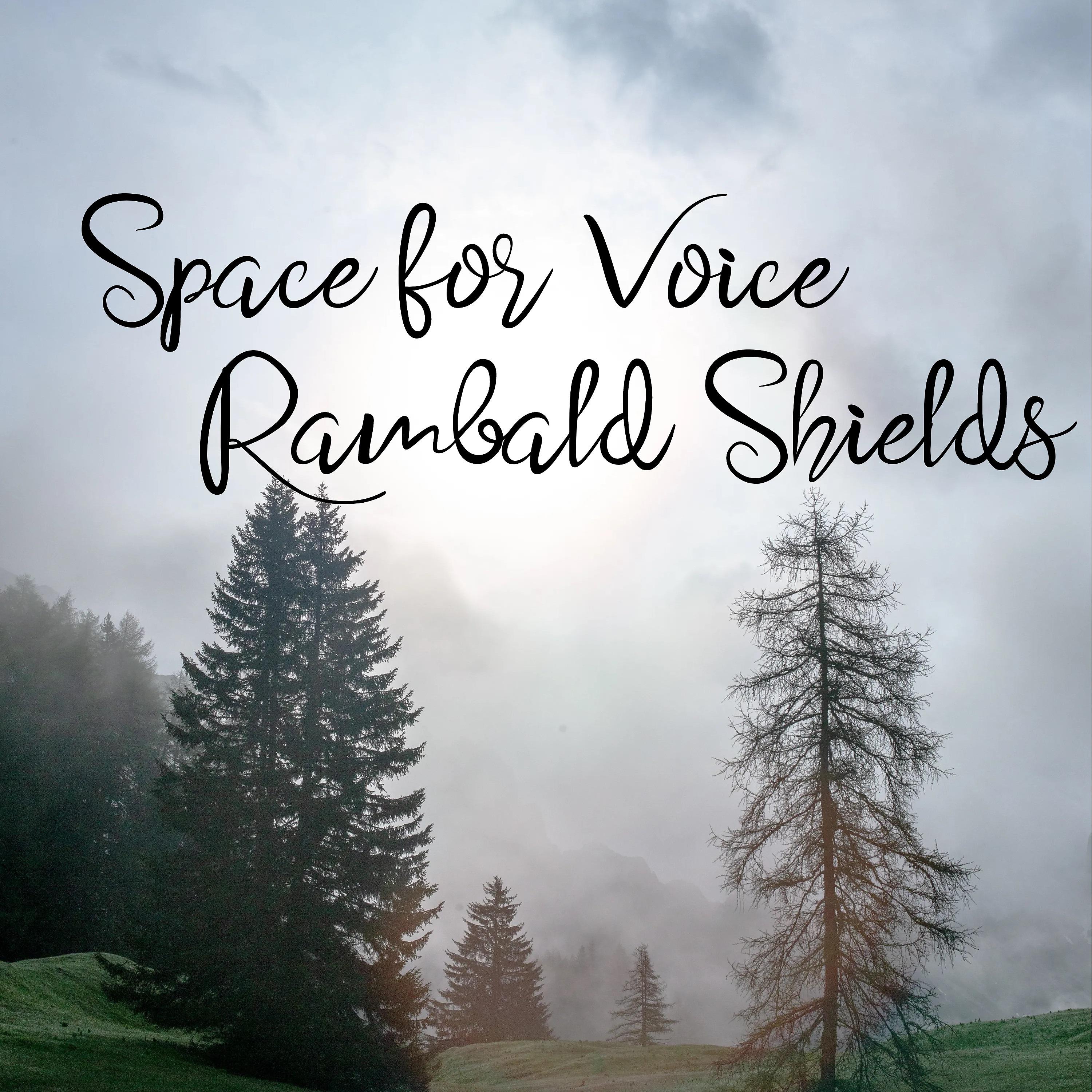 Постер альбома Space for Voice
