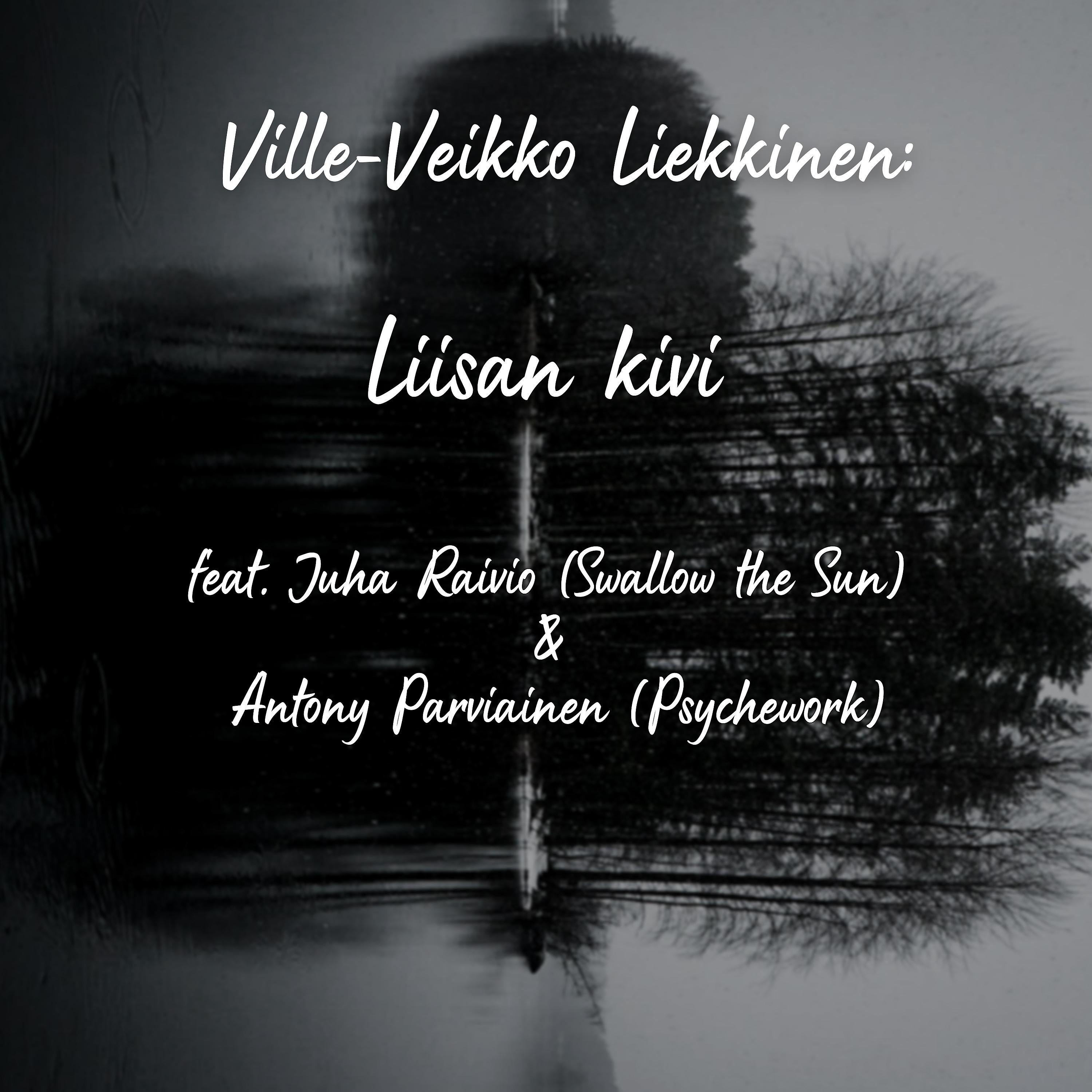 Постер альбома Liisan kivi