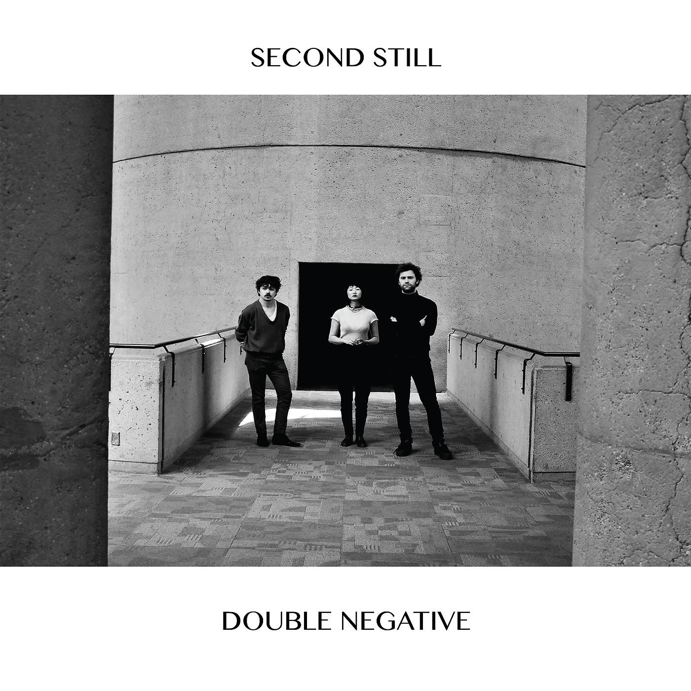Постер альбома Double Negative