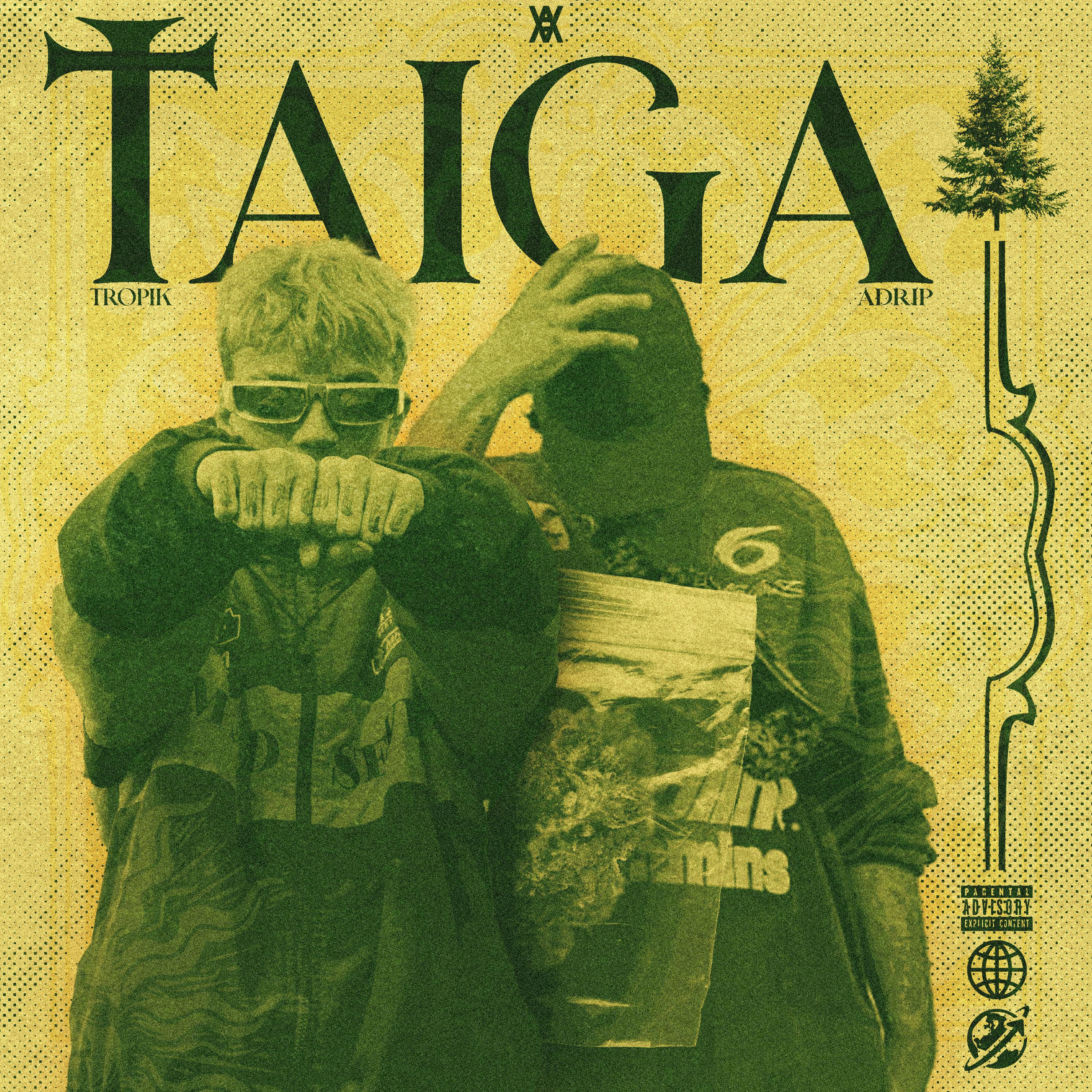 Постер альбома Taiga