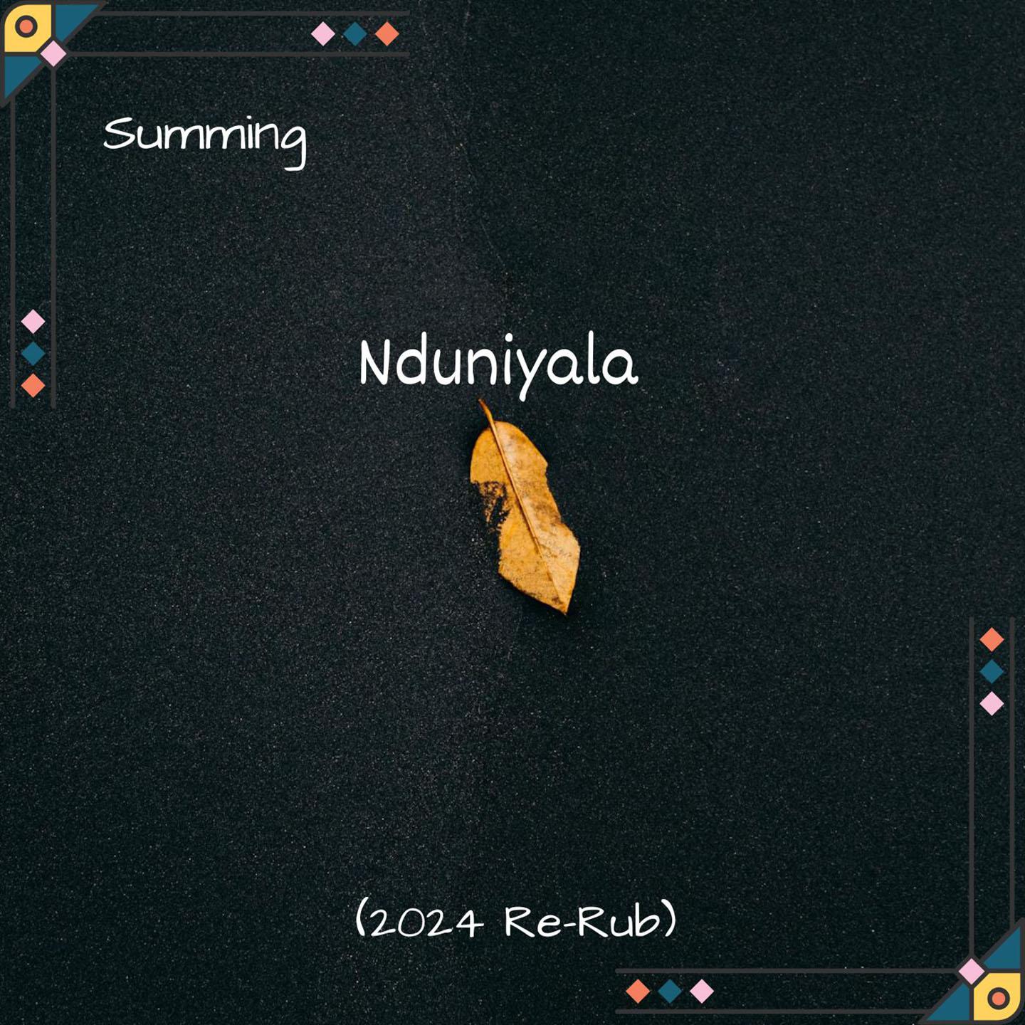 Постер альбома Nduniyala
