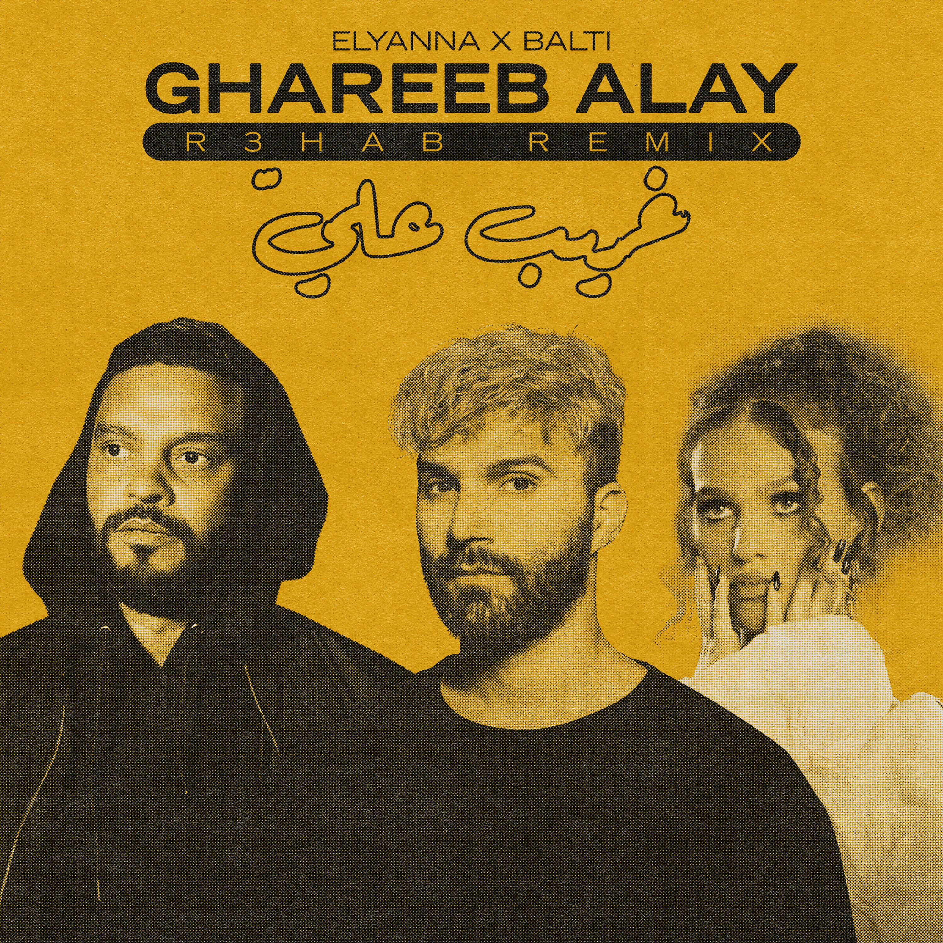 Постер альбома Ghareeb Alay (R3HAB Remix)