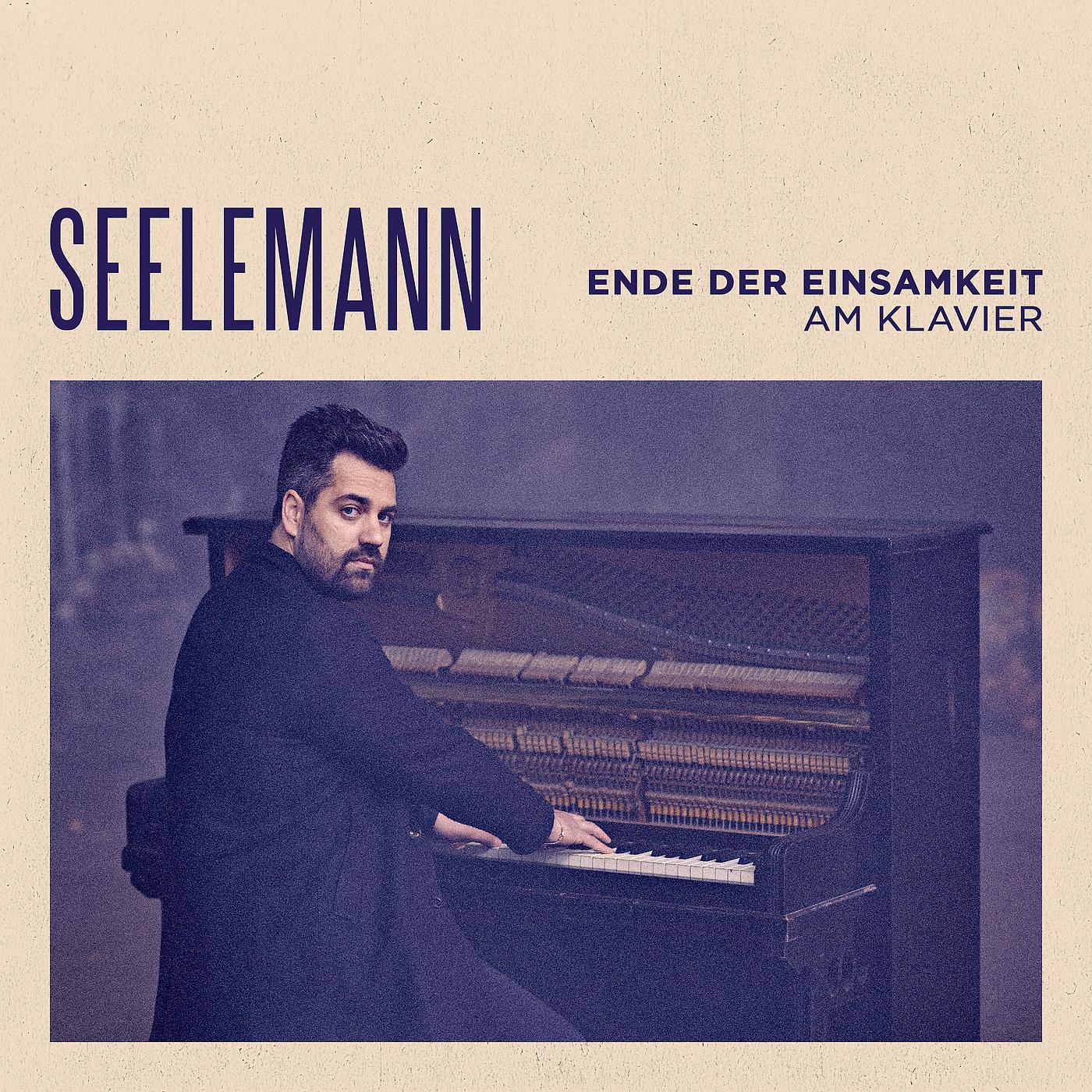 Постер альбома Ende der Einsamkeit - am Klavier