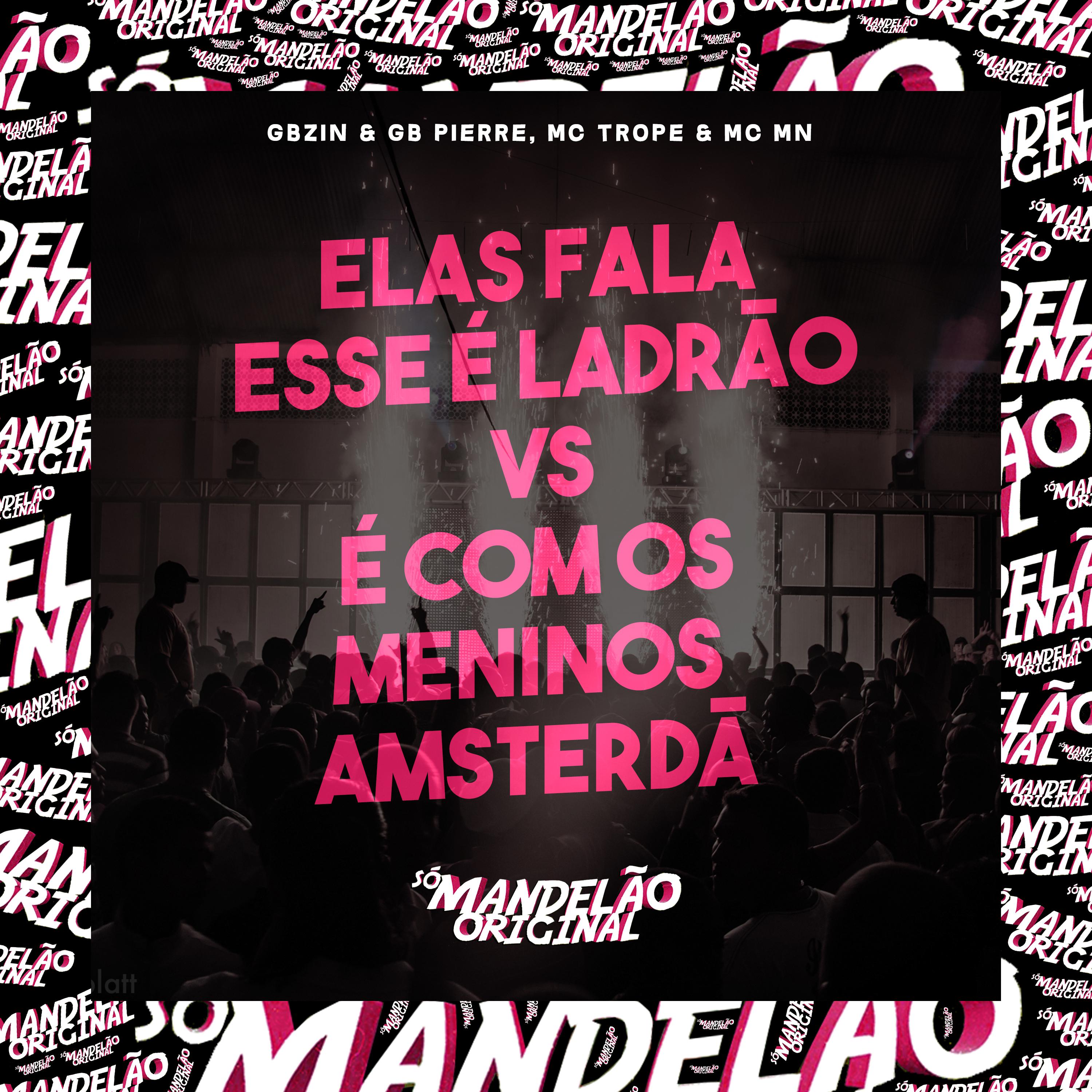 Постер альбома Elas Fala Esse É Ladrão Vs É Com os Meninos Amsterdã