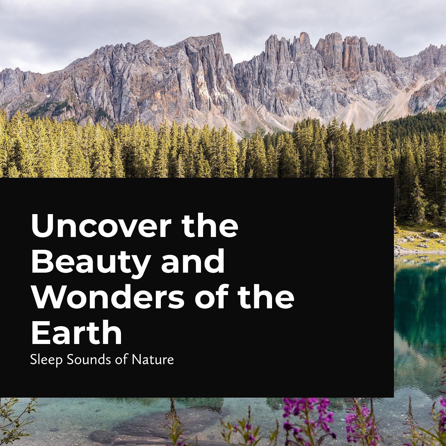 Постер альбома Uncover the Beauty and Wonders of the Earth