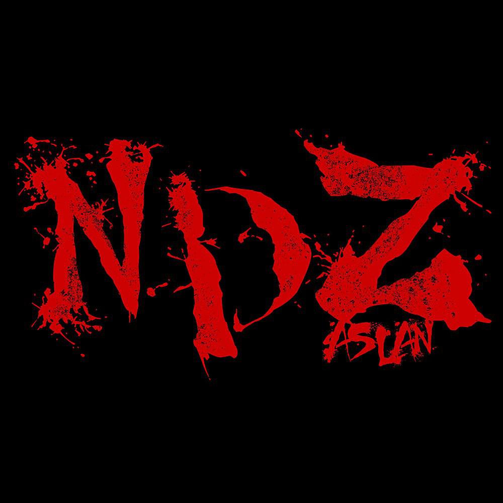 Постер альбома N.D.Z.