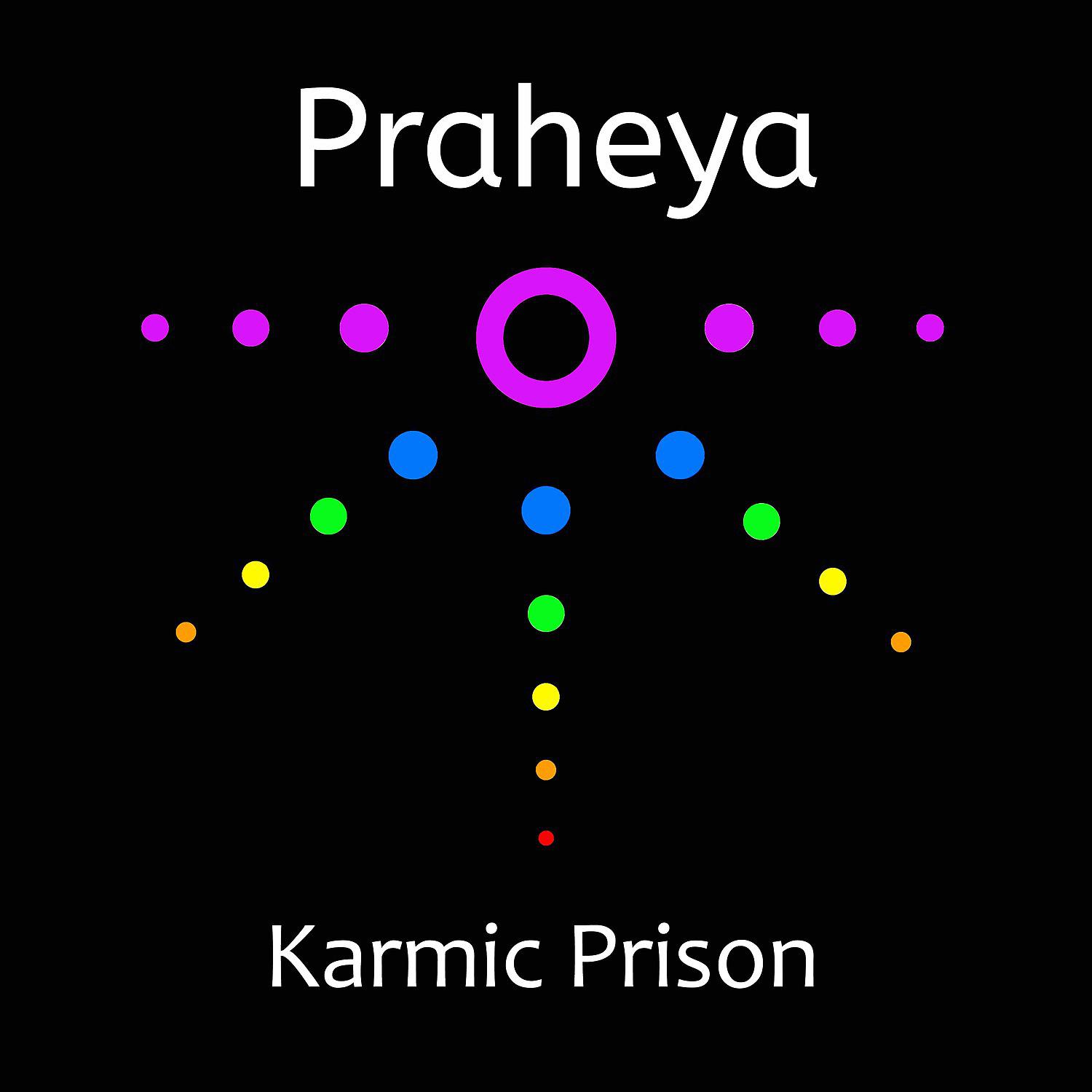 Постер альбома Karmic Prison