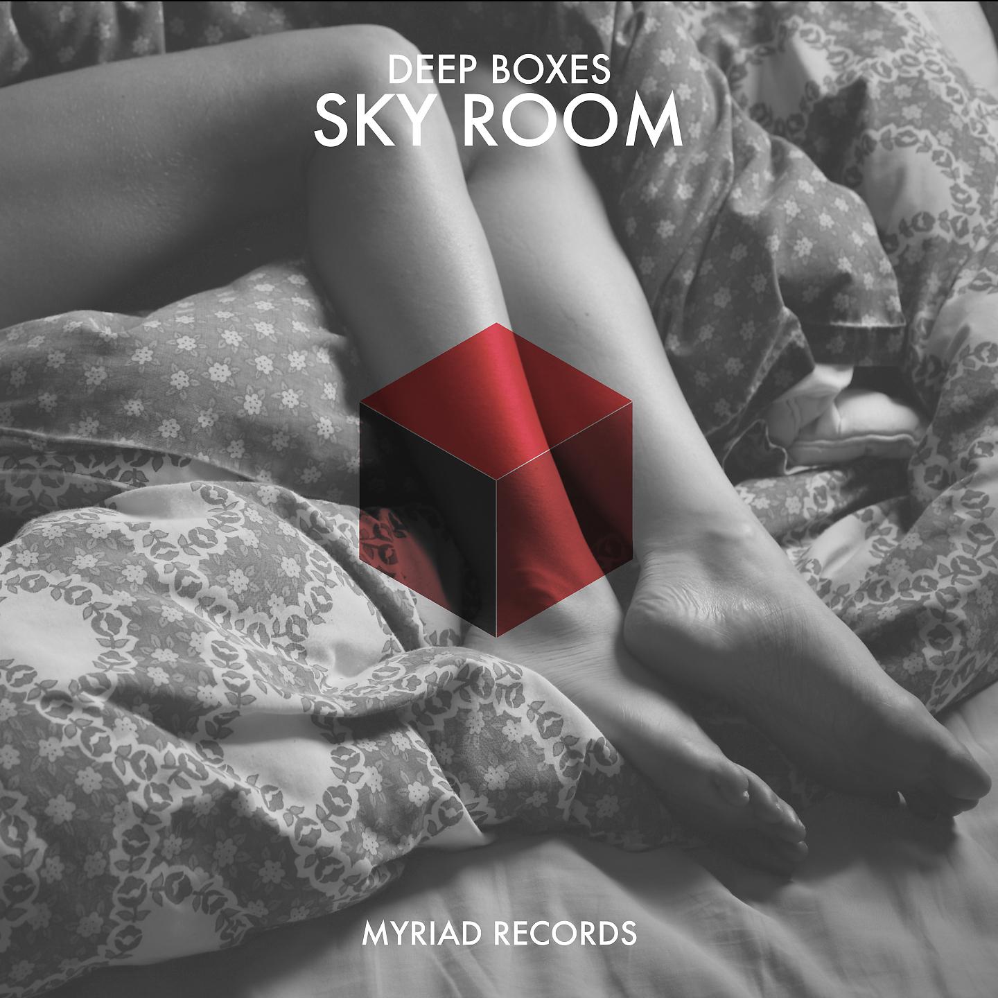 Постер альбома Sky Room