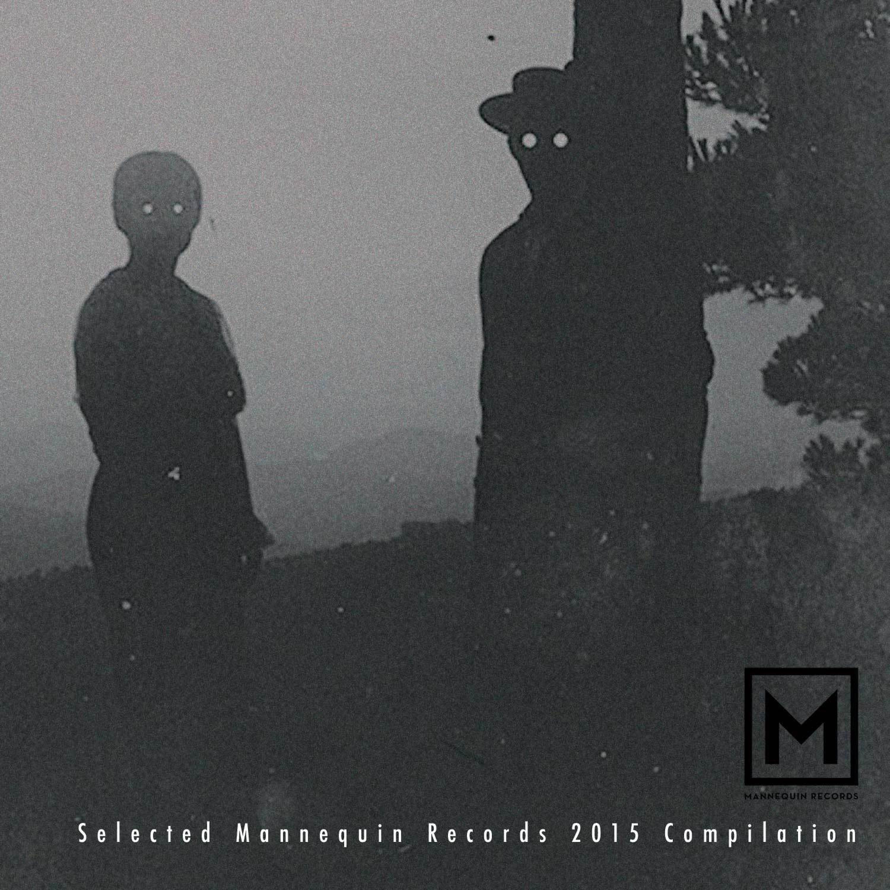Постер альбома Selected Mannequin Records 2015 Compilation