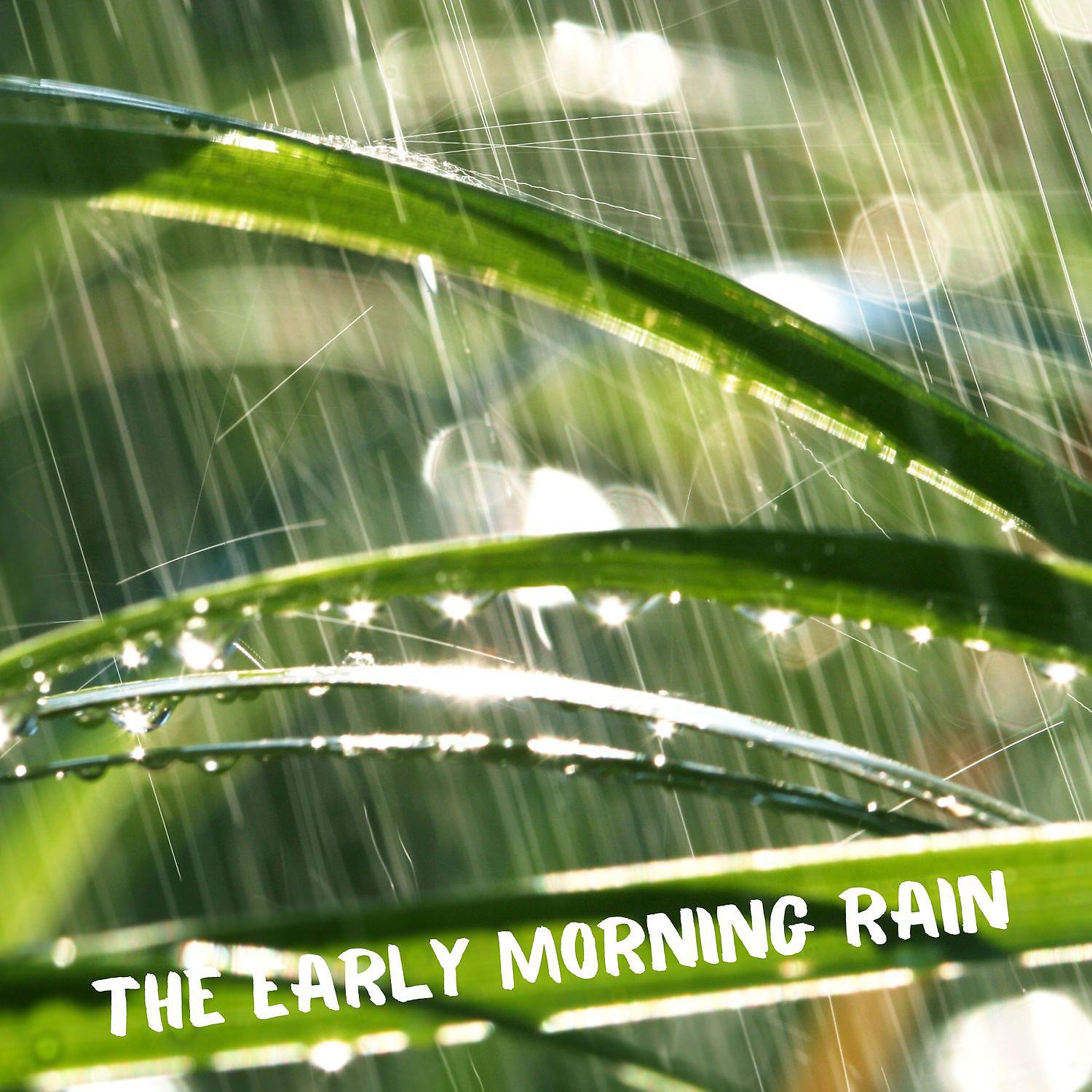 Постер альбома The Early Morning Rain - Relax Your Body & Mind with the Beautiful High Quality Rain Sounds
