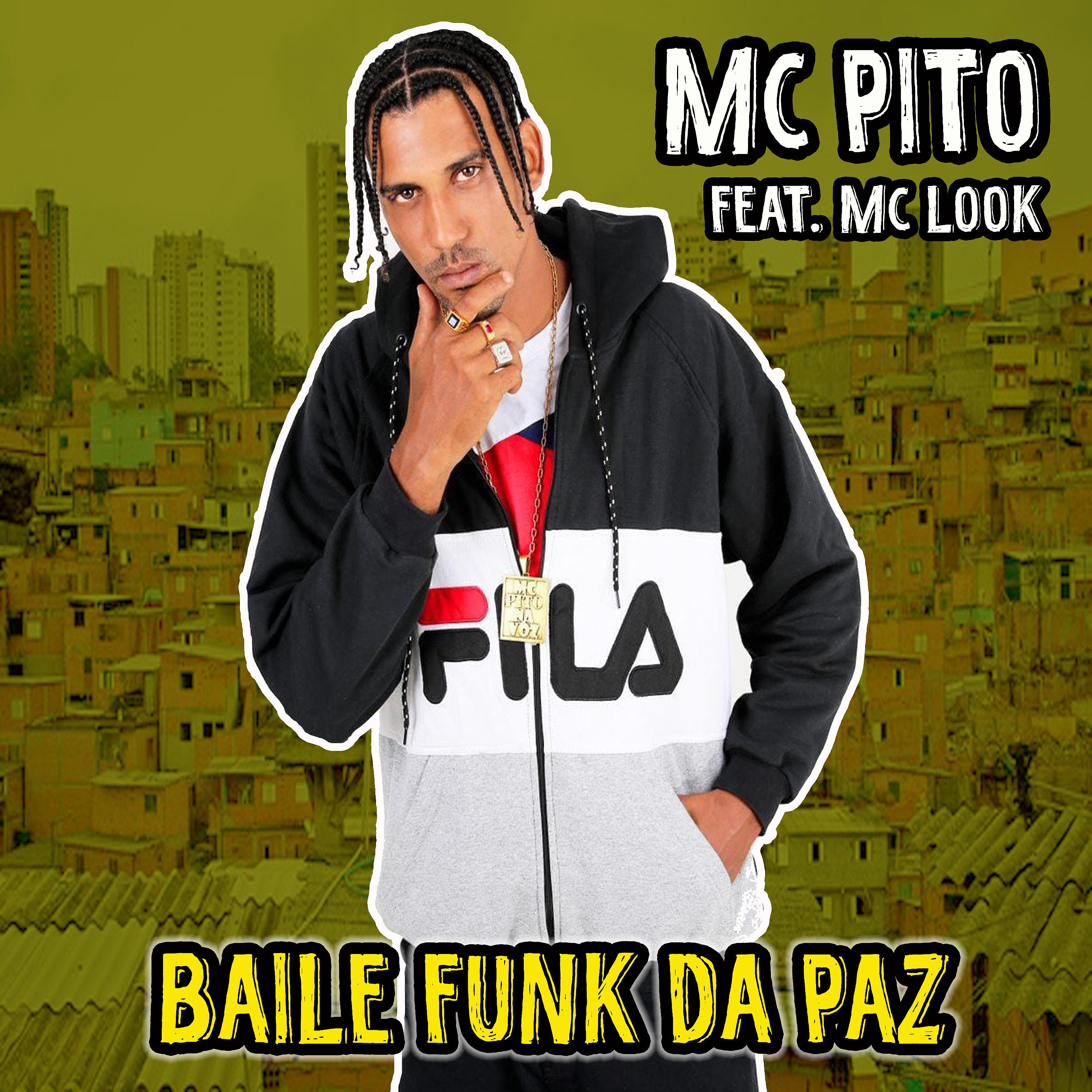 Постер альбома Baile Funk da Paz