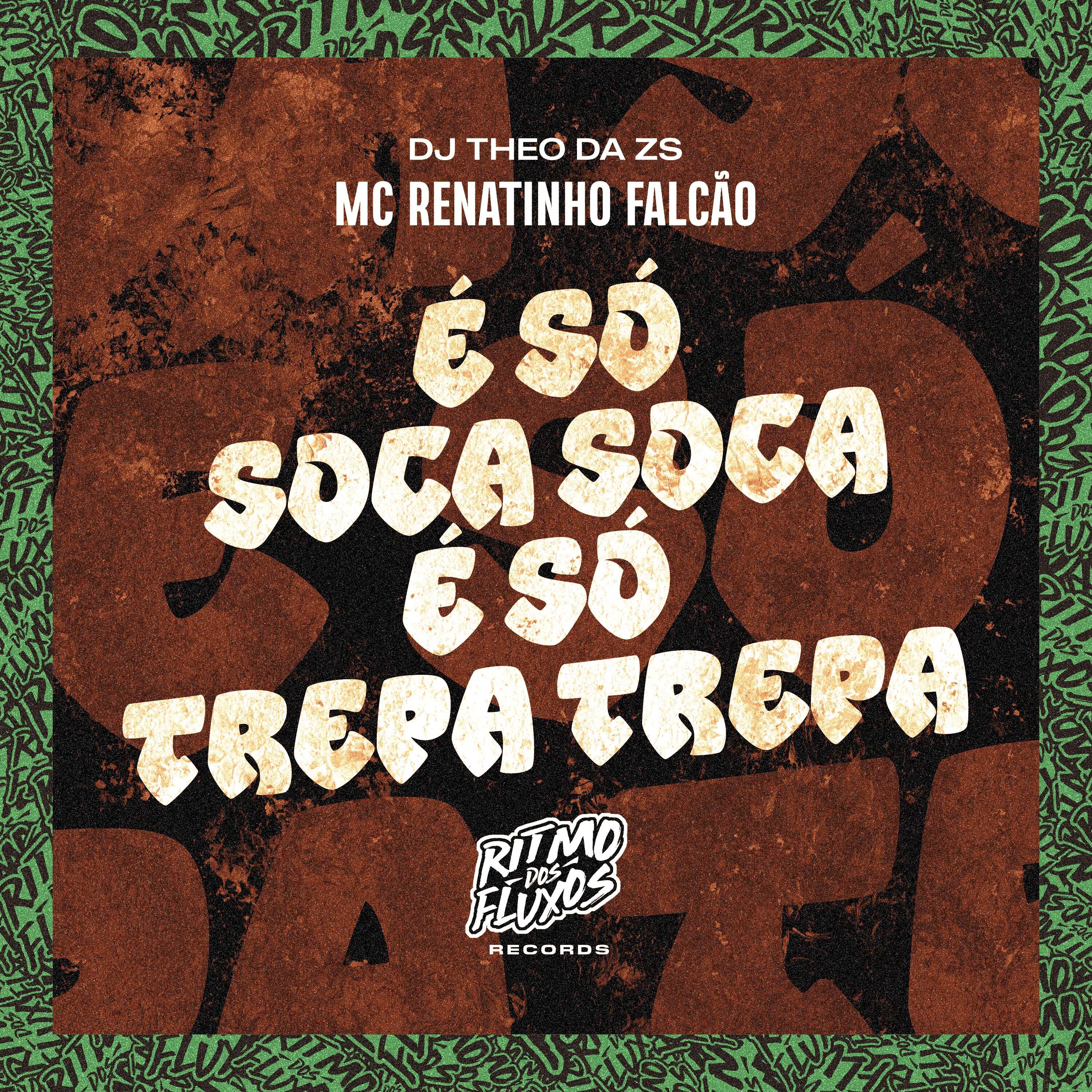 Постер альбома É Só Soca Soca É Só Trepa Trepa