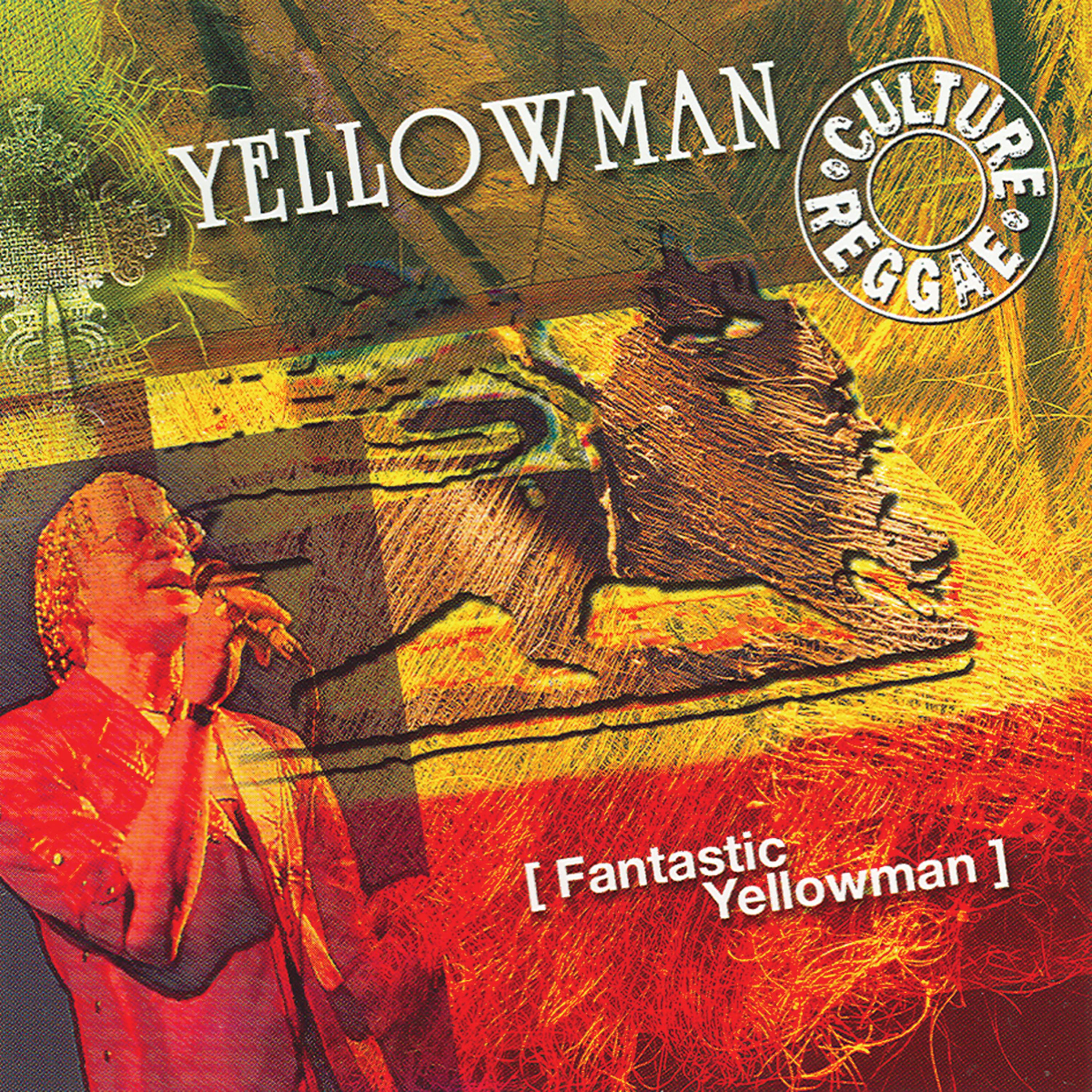 Постер альбома Fantastic Yellowman