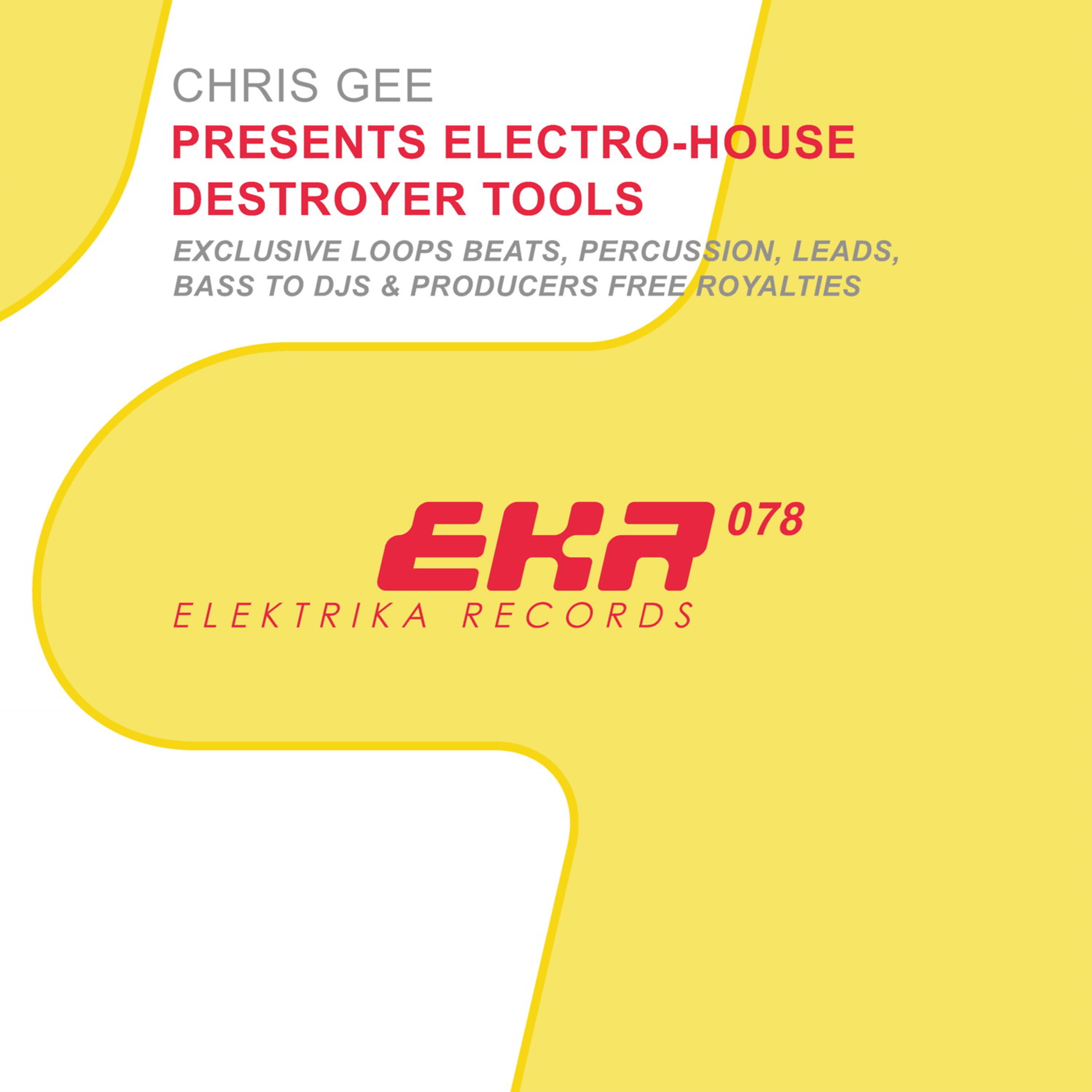Постер альбома Electro-House Destroyer Tools