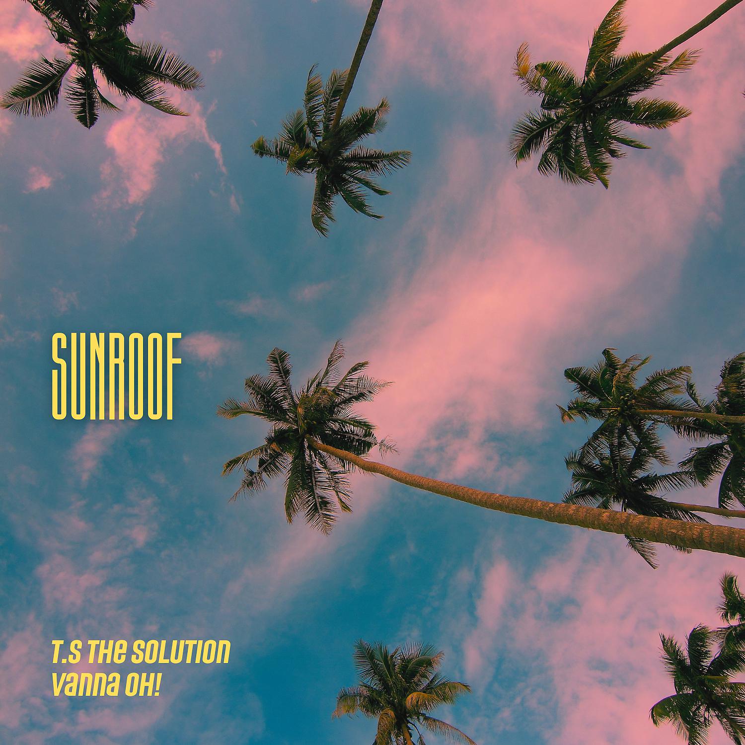 Постер альбома Sunroof