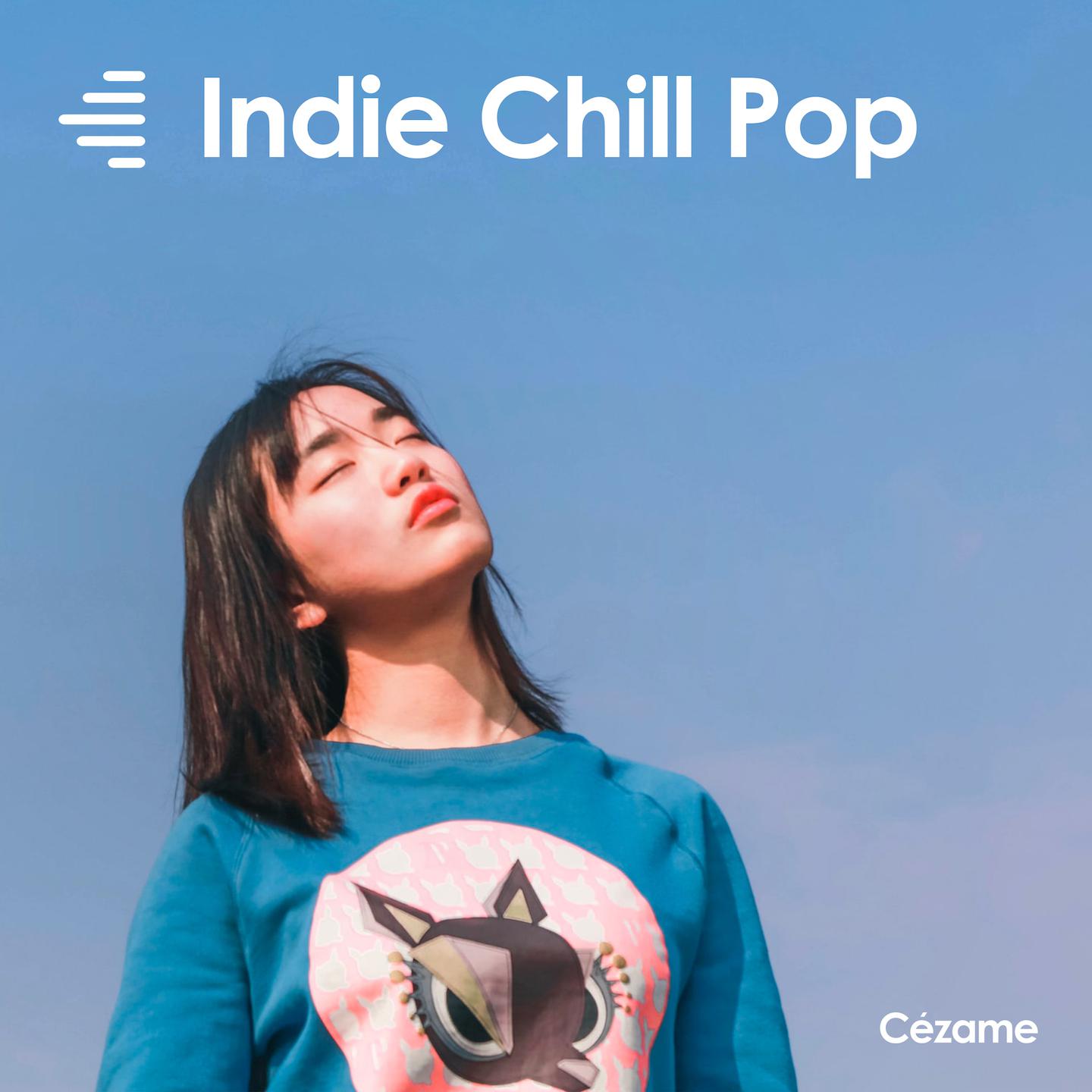 Постер альбома Indie Chill Pop