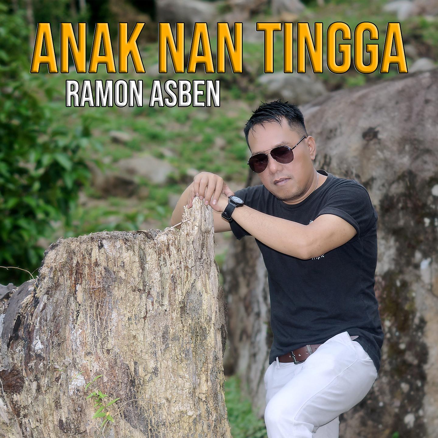 Постер альбома ANAK NAN TINGGA