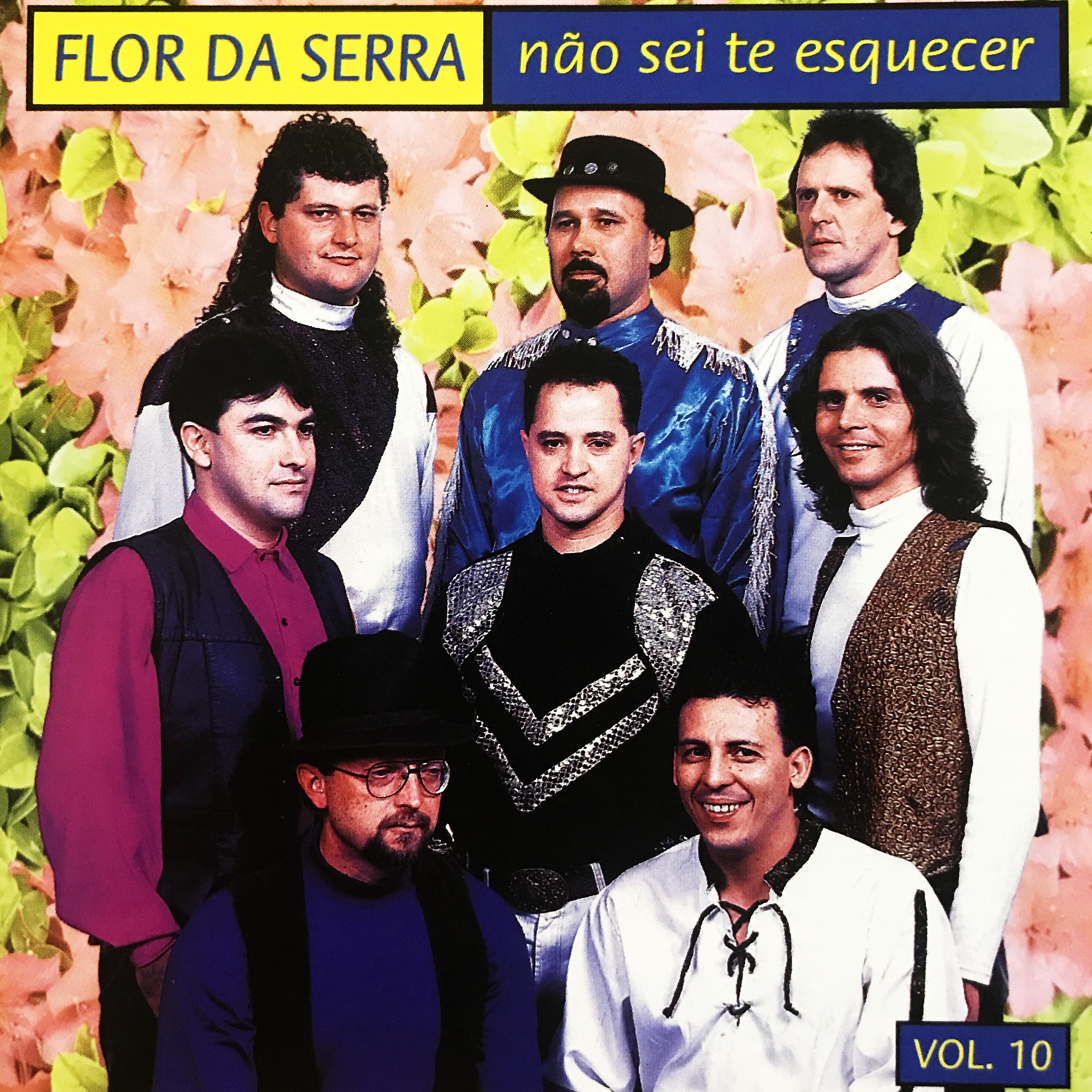 Постер альбома Não Sei Te Esquecer, Vol. 10