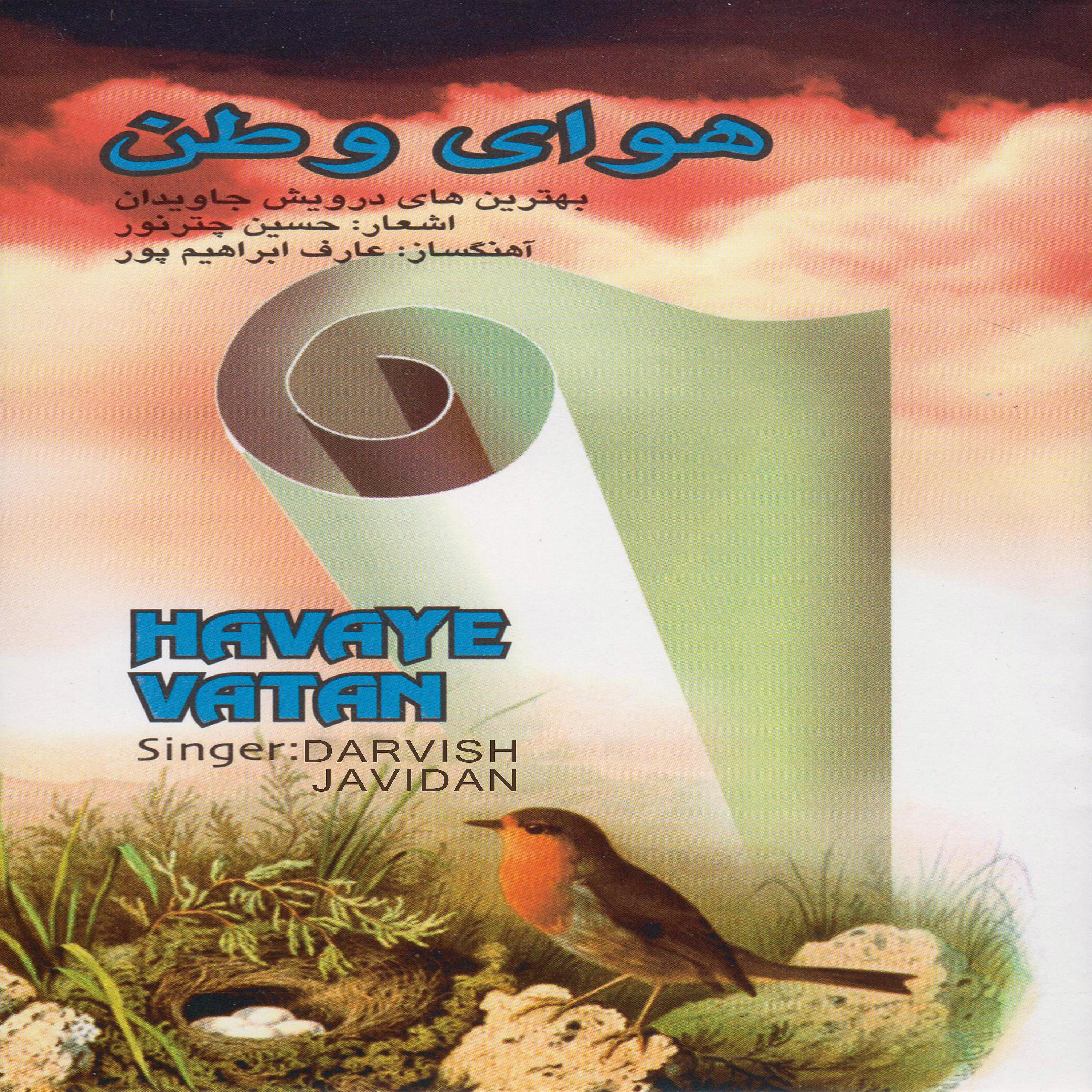 Постер альбома Havaye Vatan