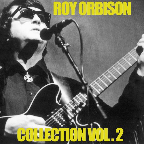 Постер альбома Roy Orbison Collection, Vol. 2