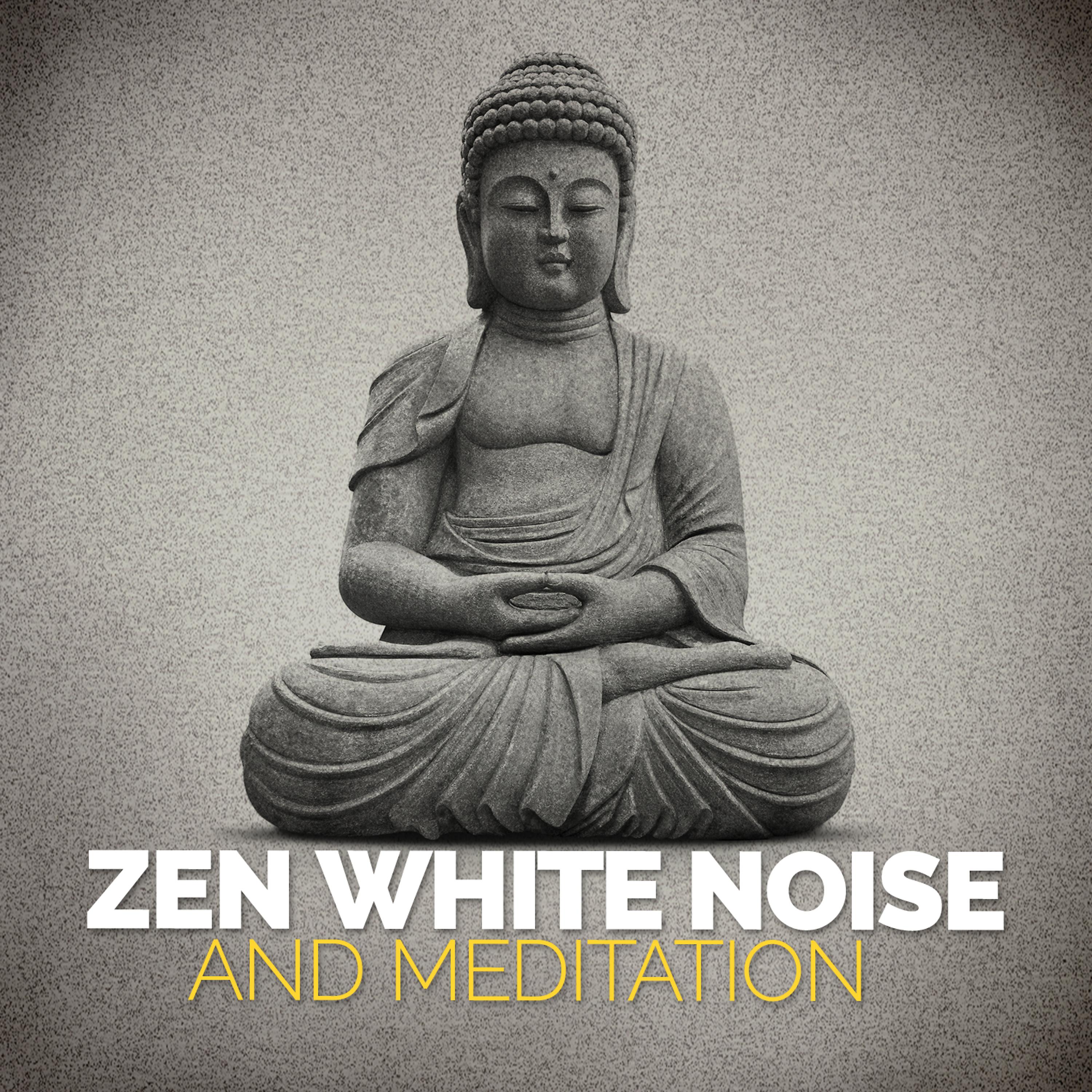 Постер альбома Zen White Noise and Meditation