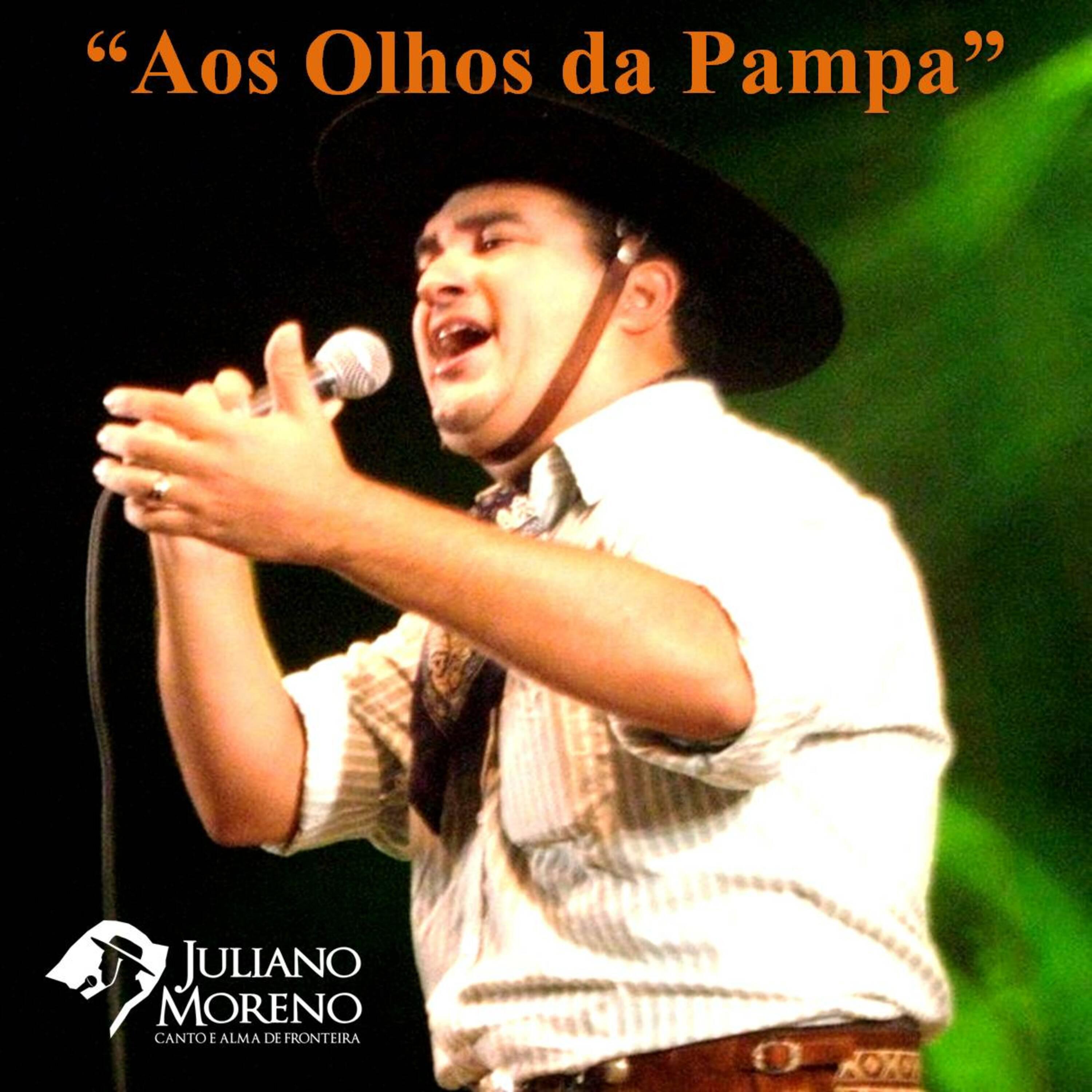 Постер альбома Aos Olhos da Pampa