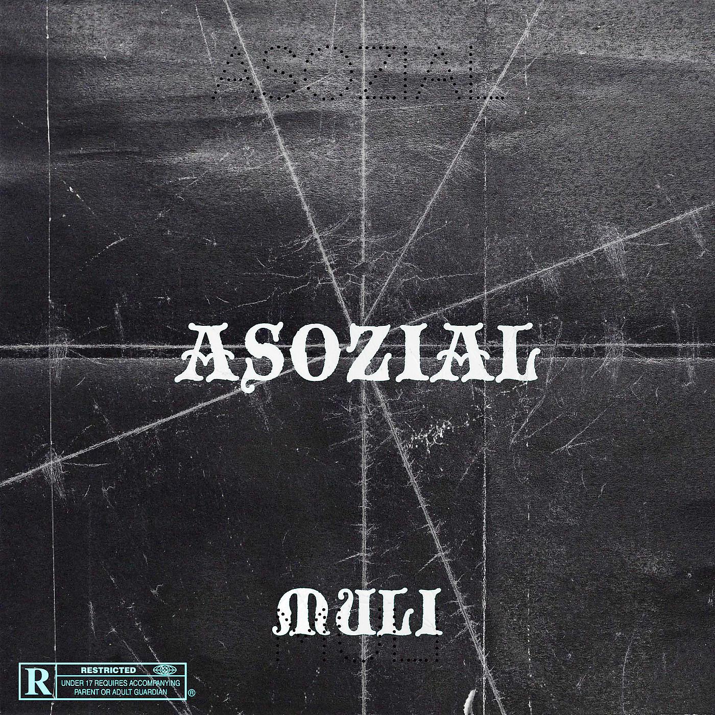 Постер альбома Asozial
