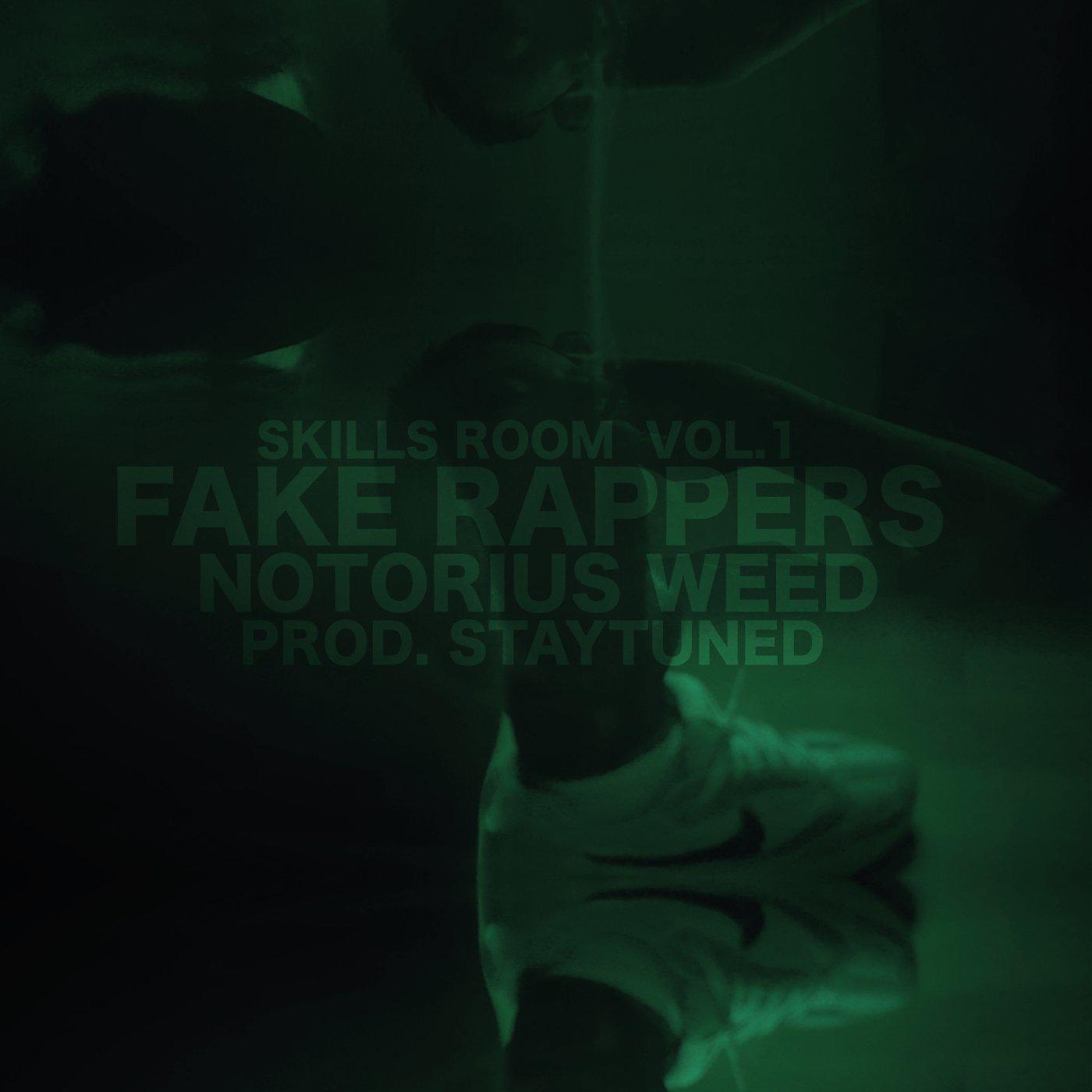 Постер альбома Fake Rappers (Skills Room Vol.1)
