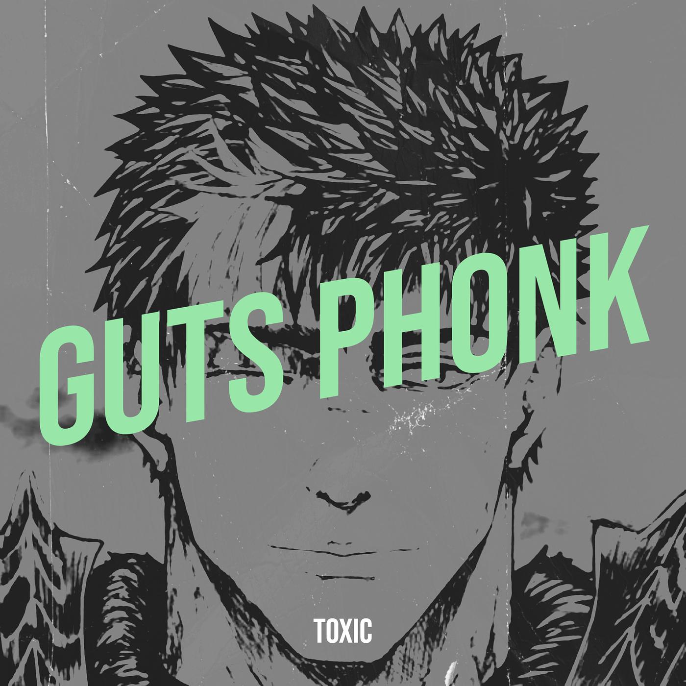 Постер альбома Guts Phonk