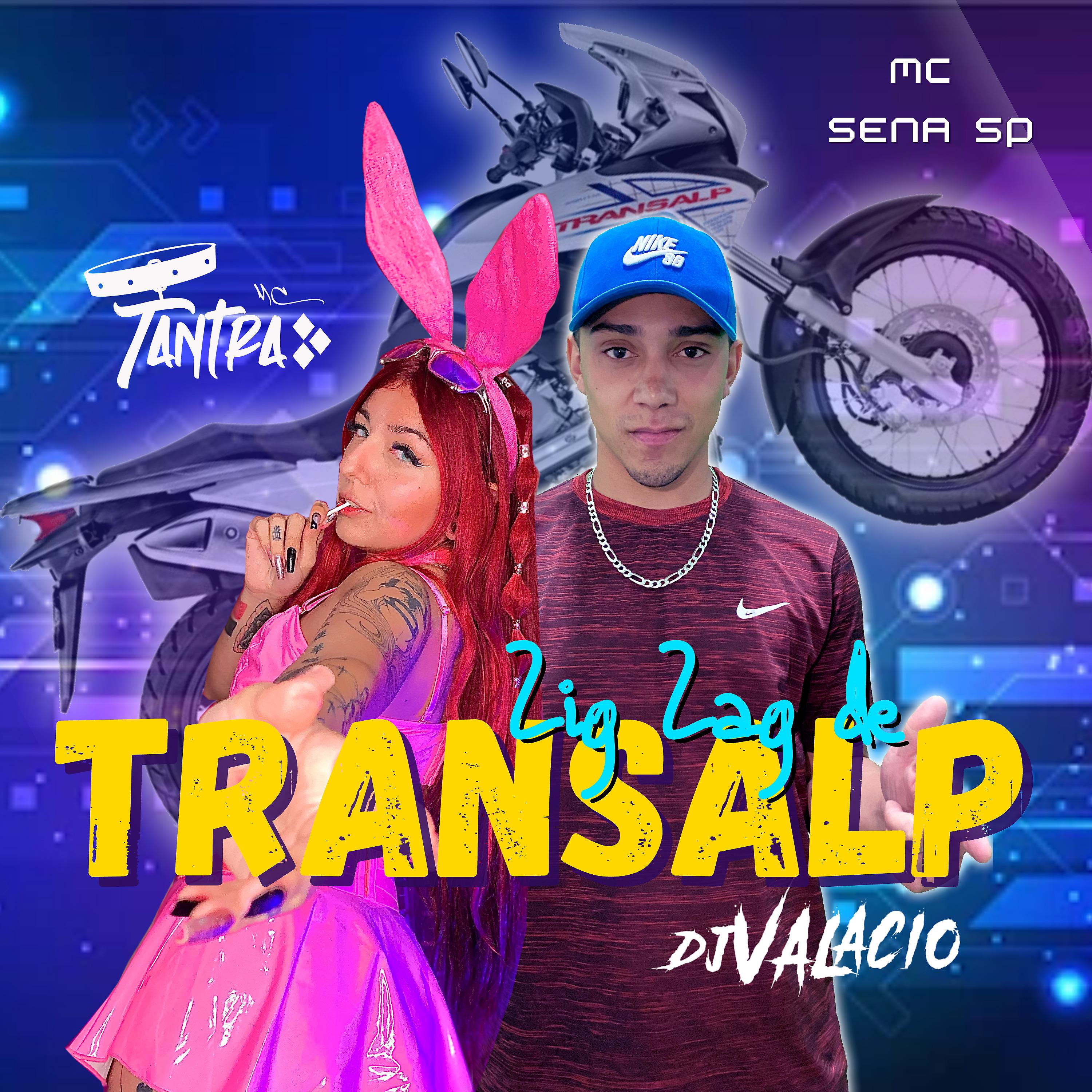Постер альбома Zig Zag de Transalp