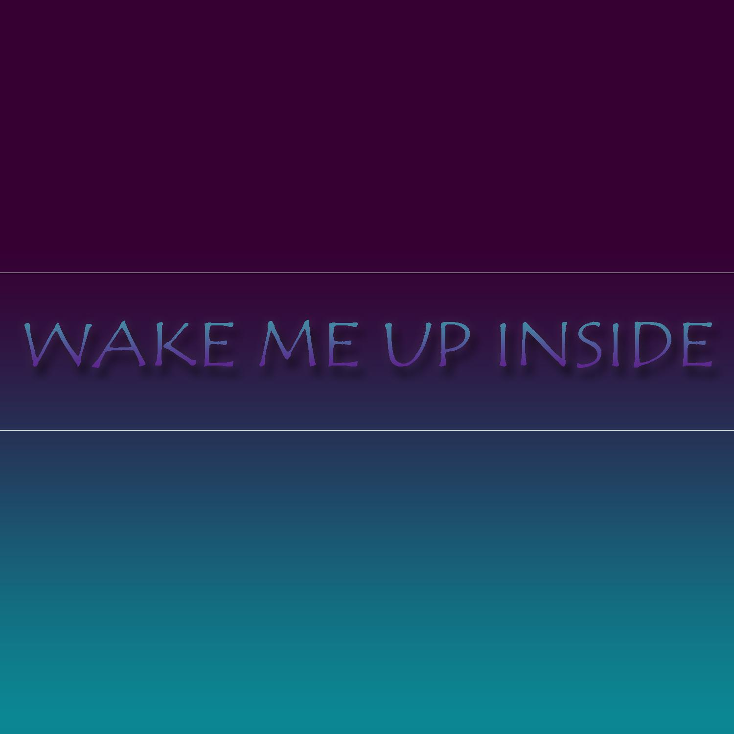 Постер альбома Wake Me up Inside