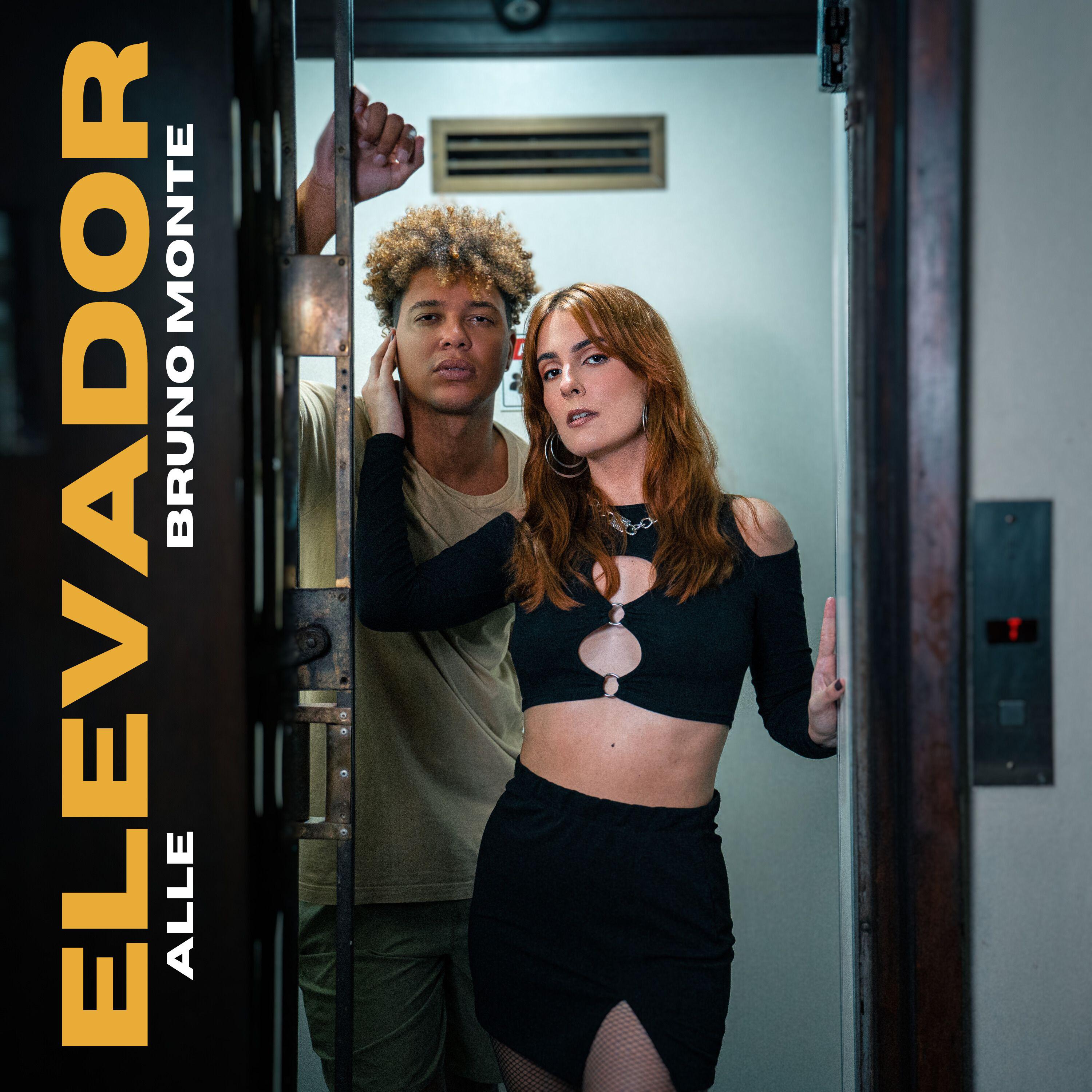 Постер альбома Elevador