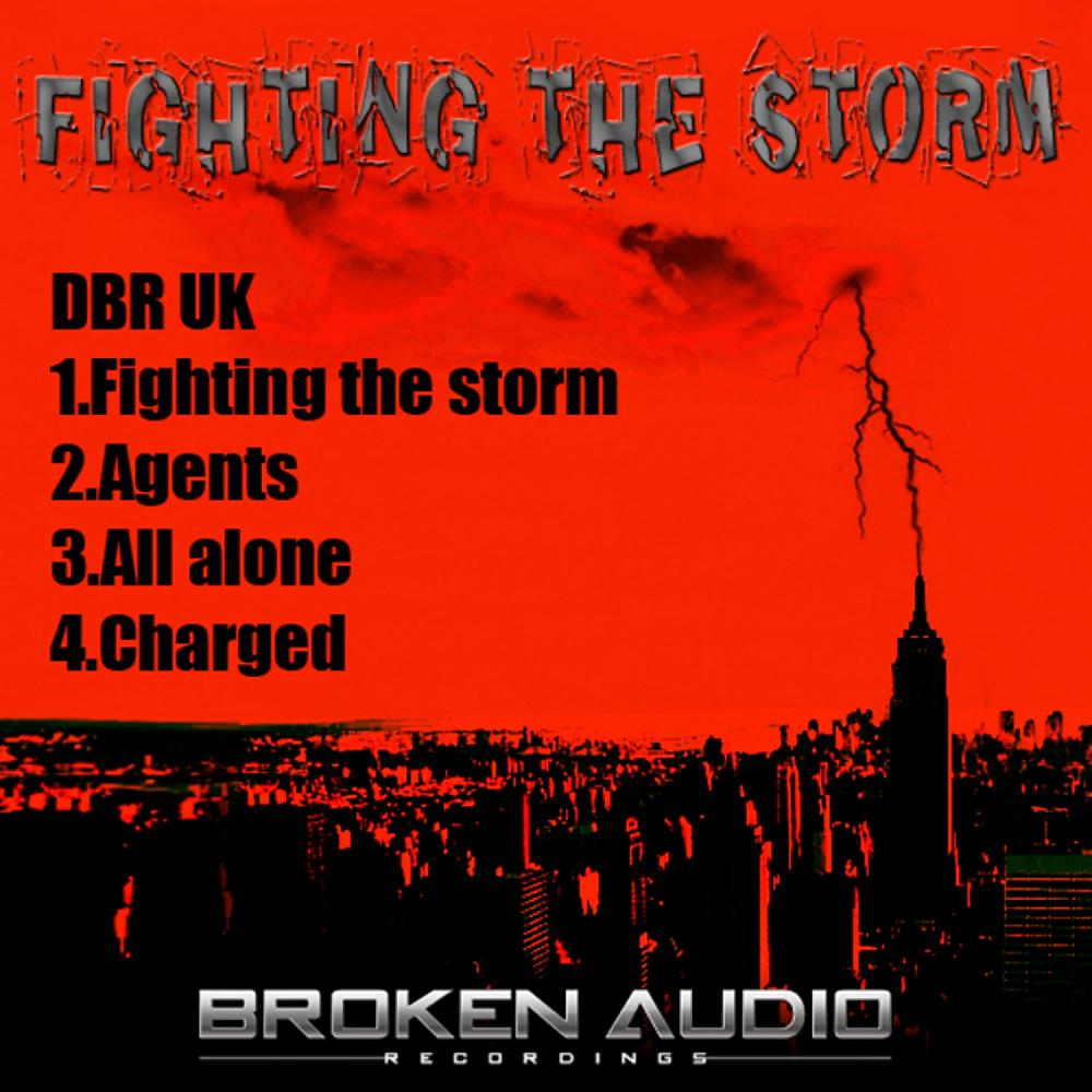 Постер альбома Fighting The Storm