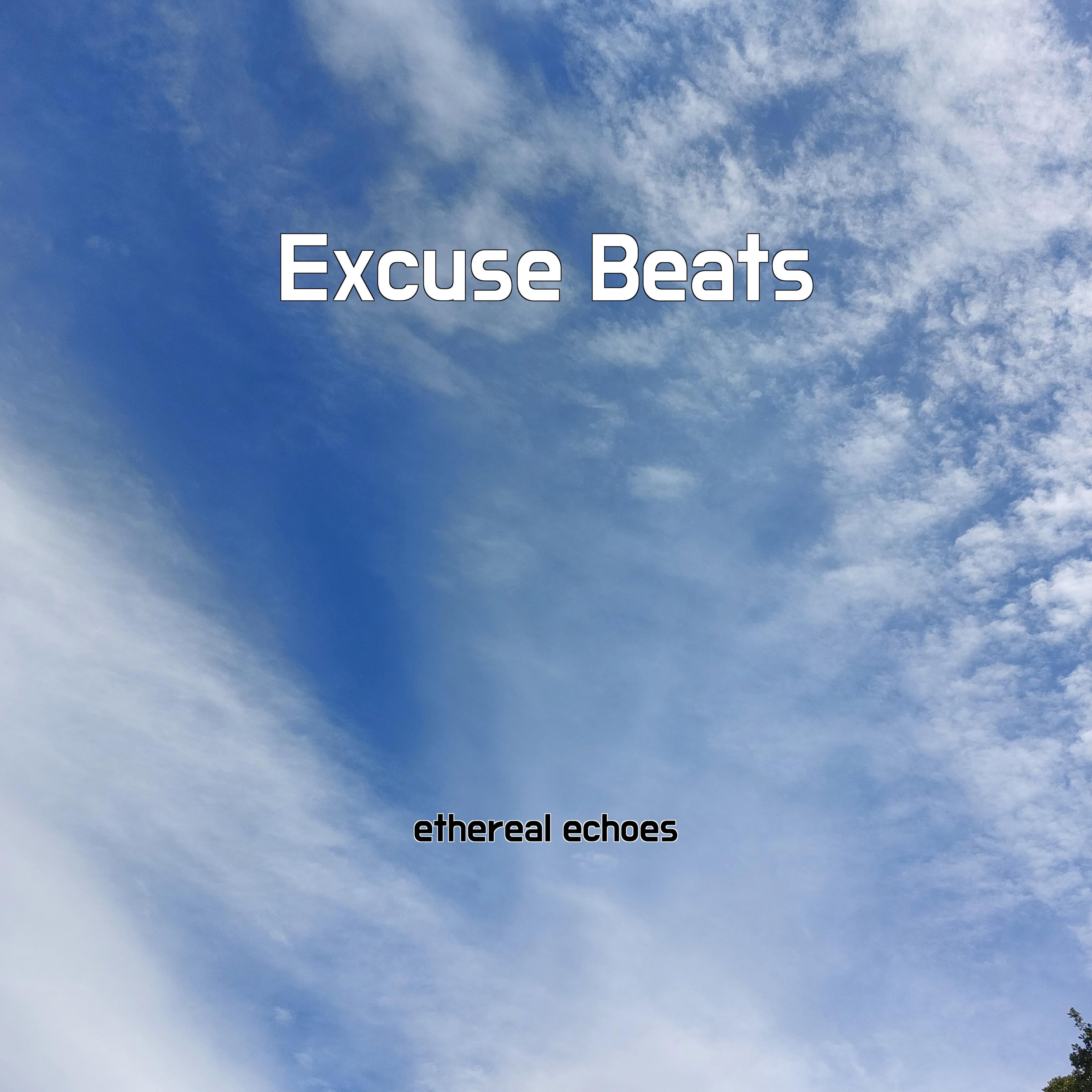 Постер альбома Excuse Beats