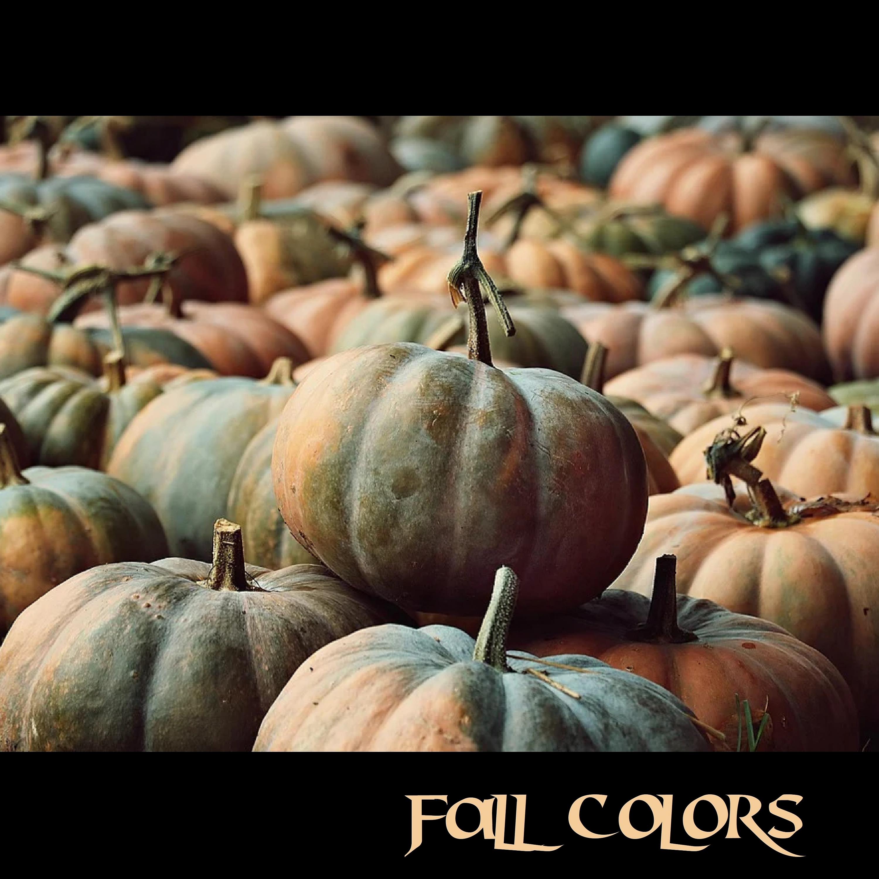 Постер альбома Fall Colors