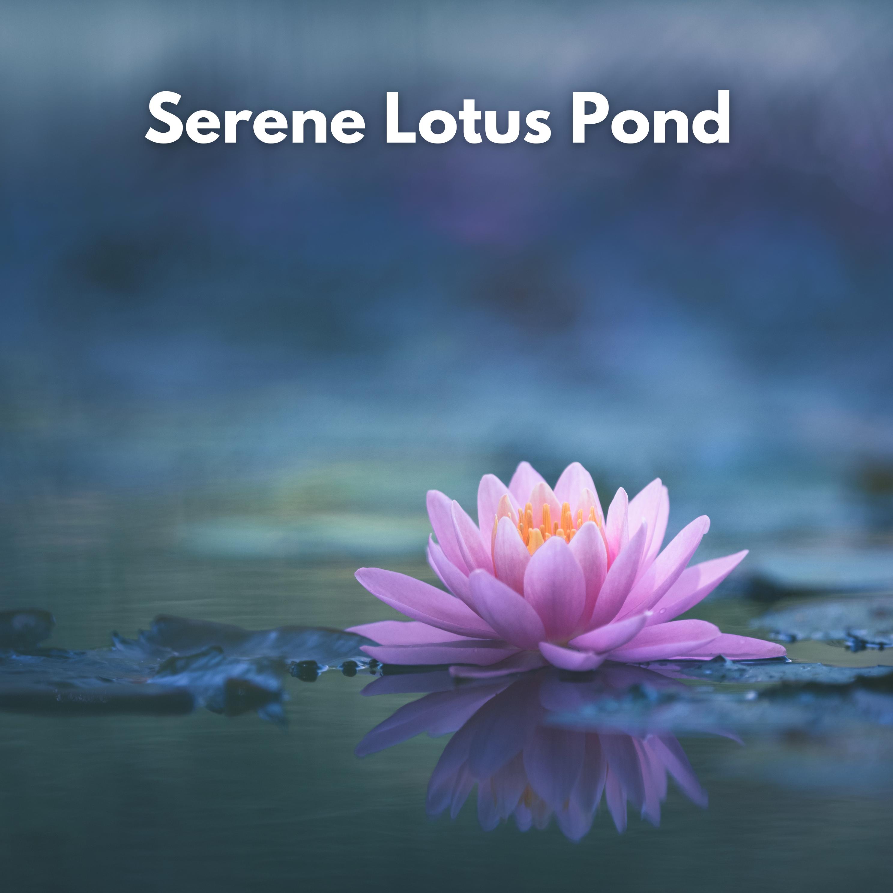 Постер альбома Serene Lotus Pond