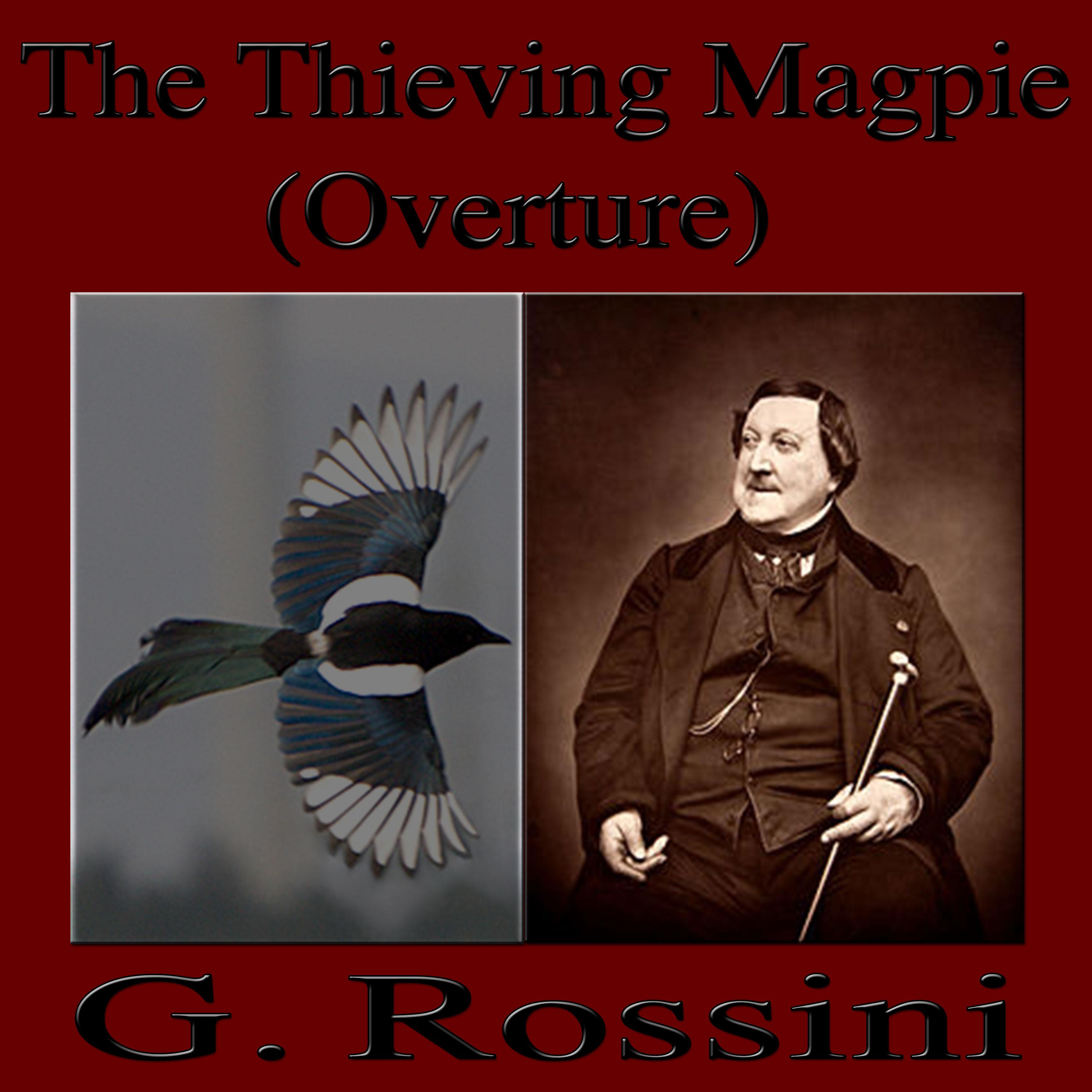 Постер альбома The Thieving Magpie