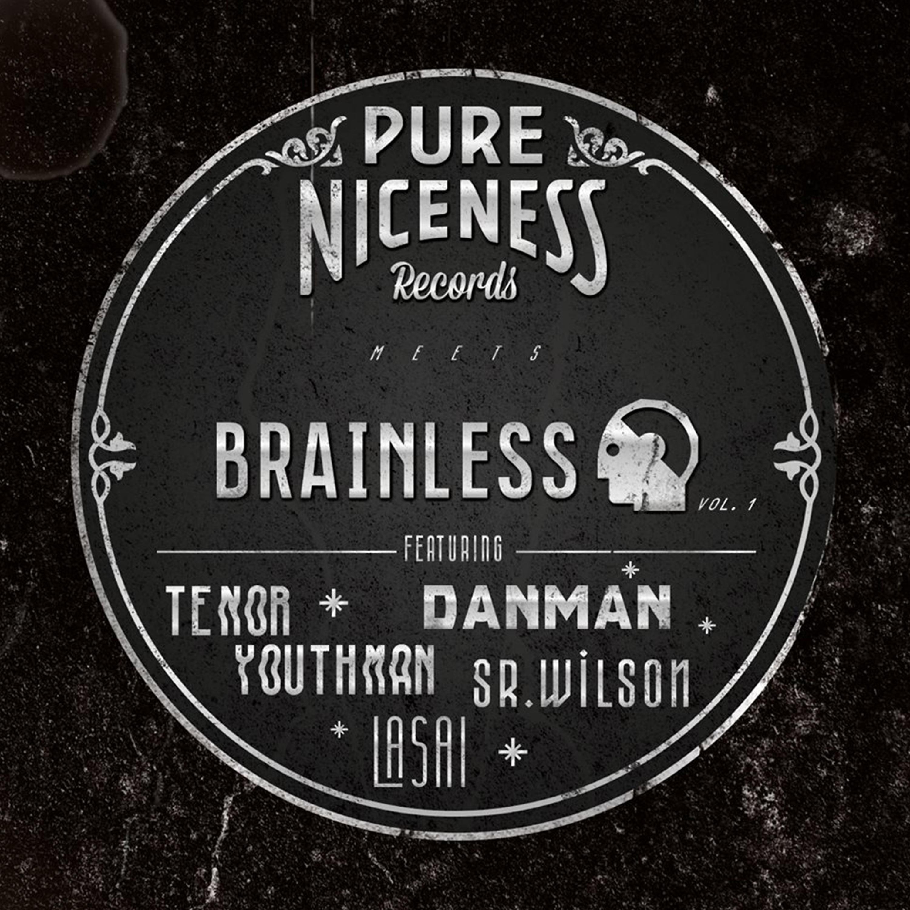 Постер альбома Pure Niceness Records Meets Brainless, Vol. 1