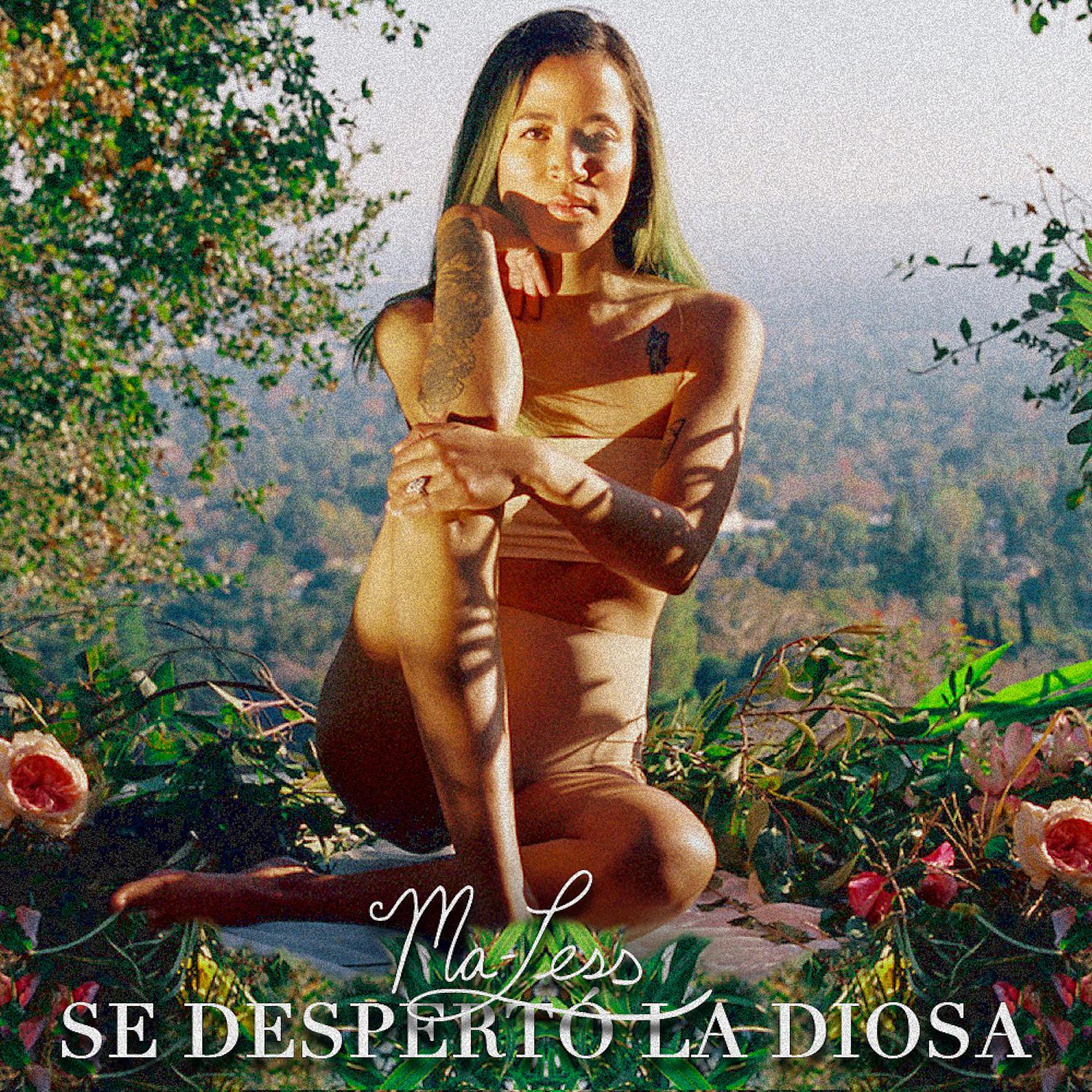 Постер альбома Se Despertó La Diosa