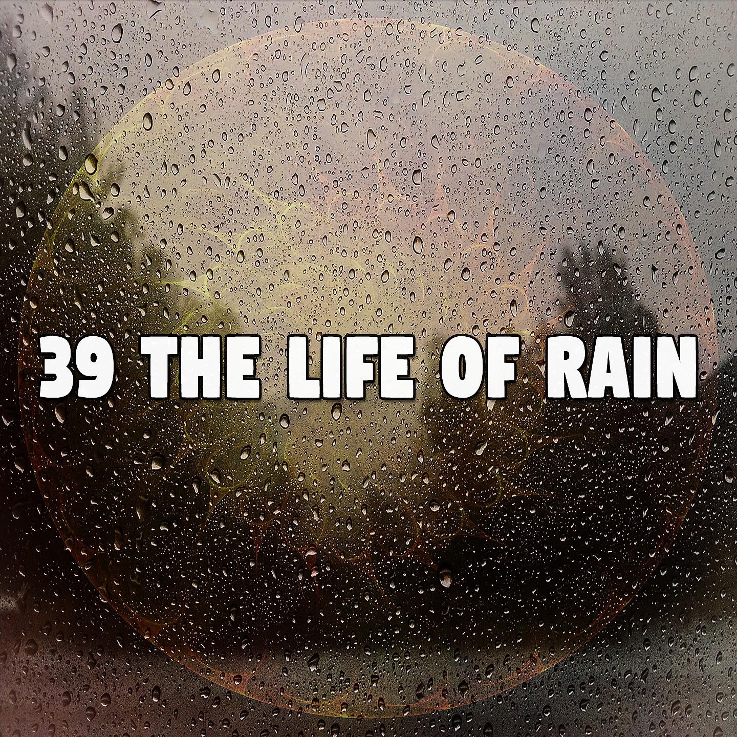 Постер альбома 39 Жизнь дождя