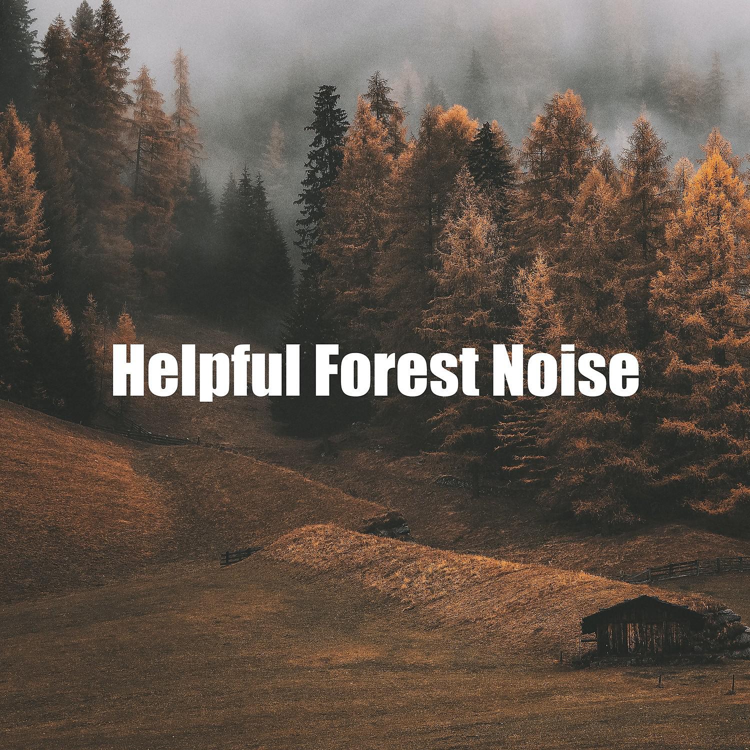 Постер альбома Helpful Forest Noise