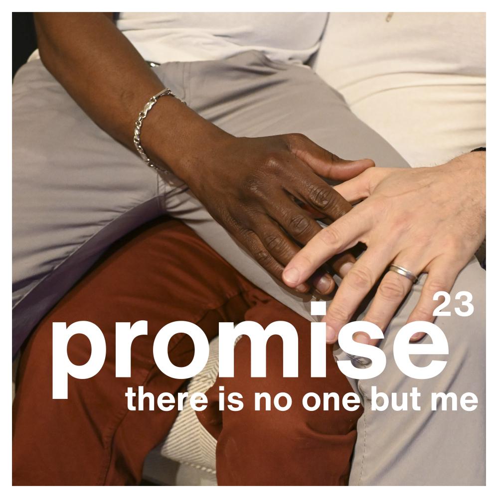 Постер альбома Promise 23