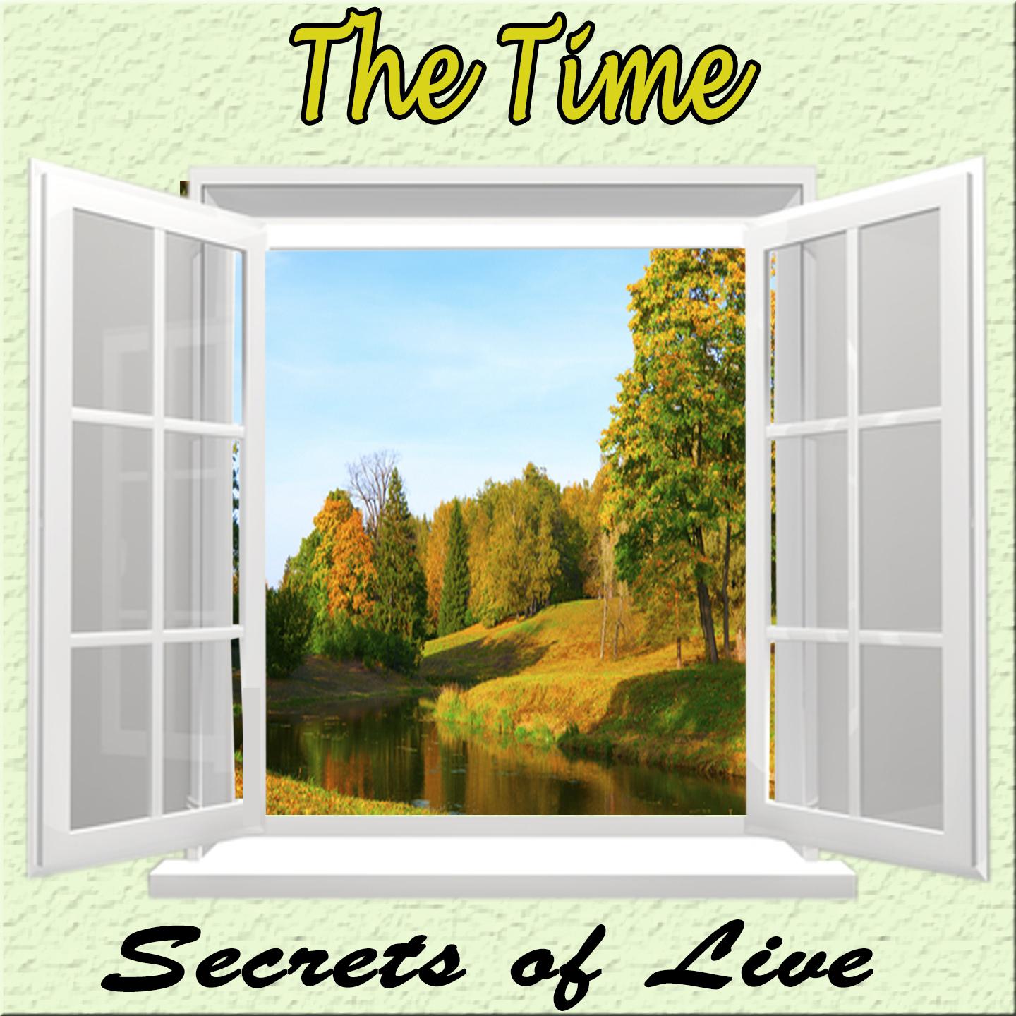 Постер альбома Secrets of Life, The Time