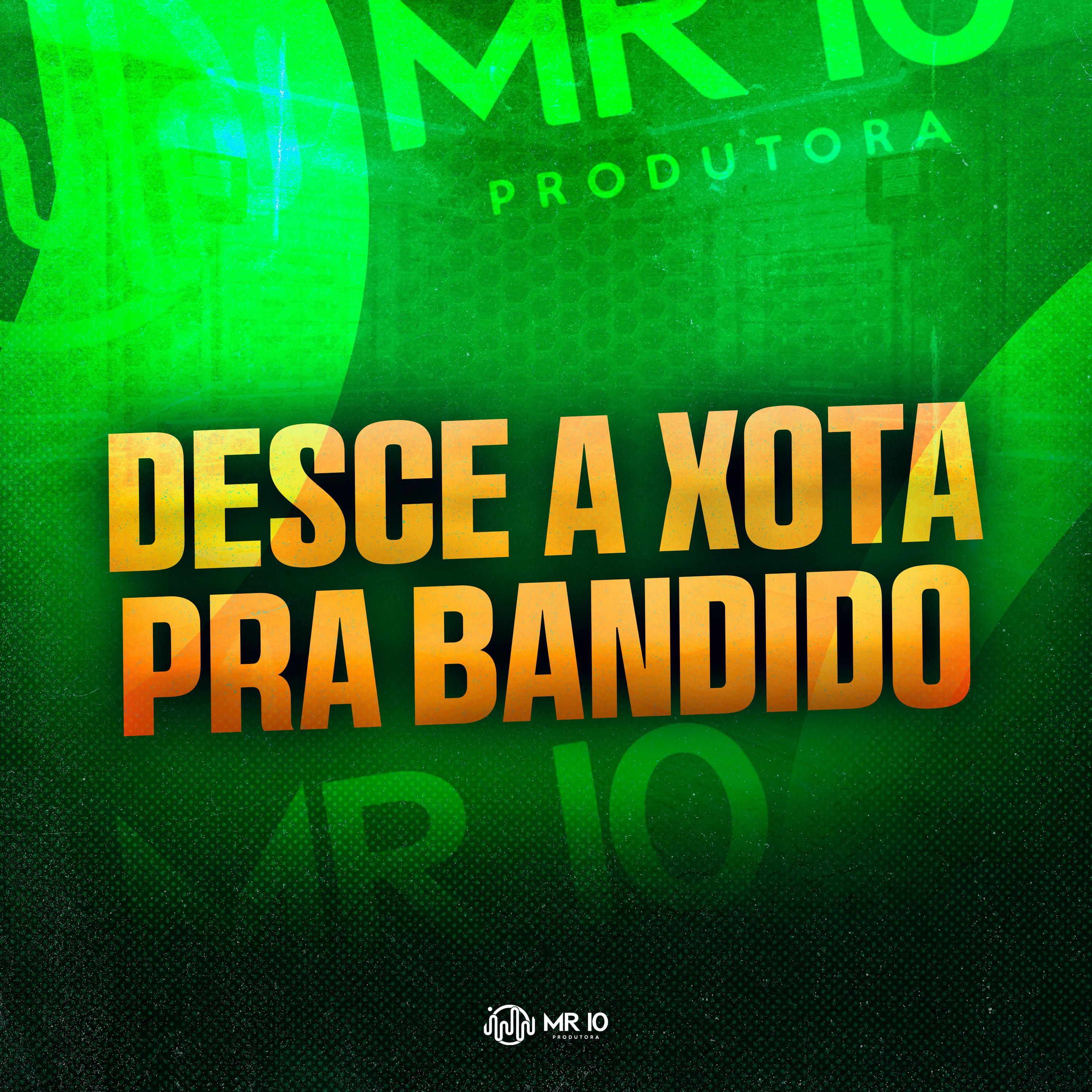 Постер альбома Desce a Xota pra Bandido