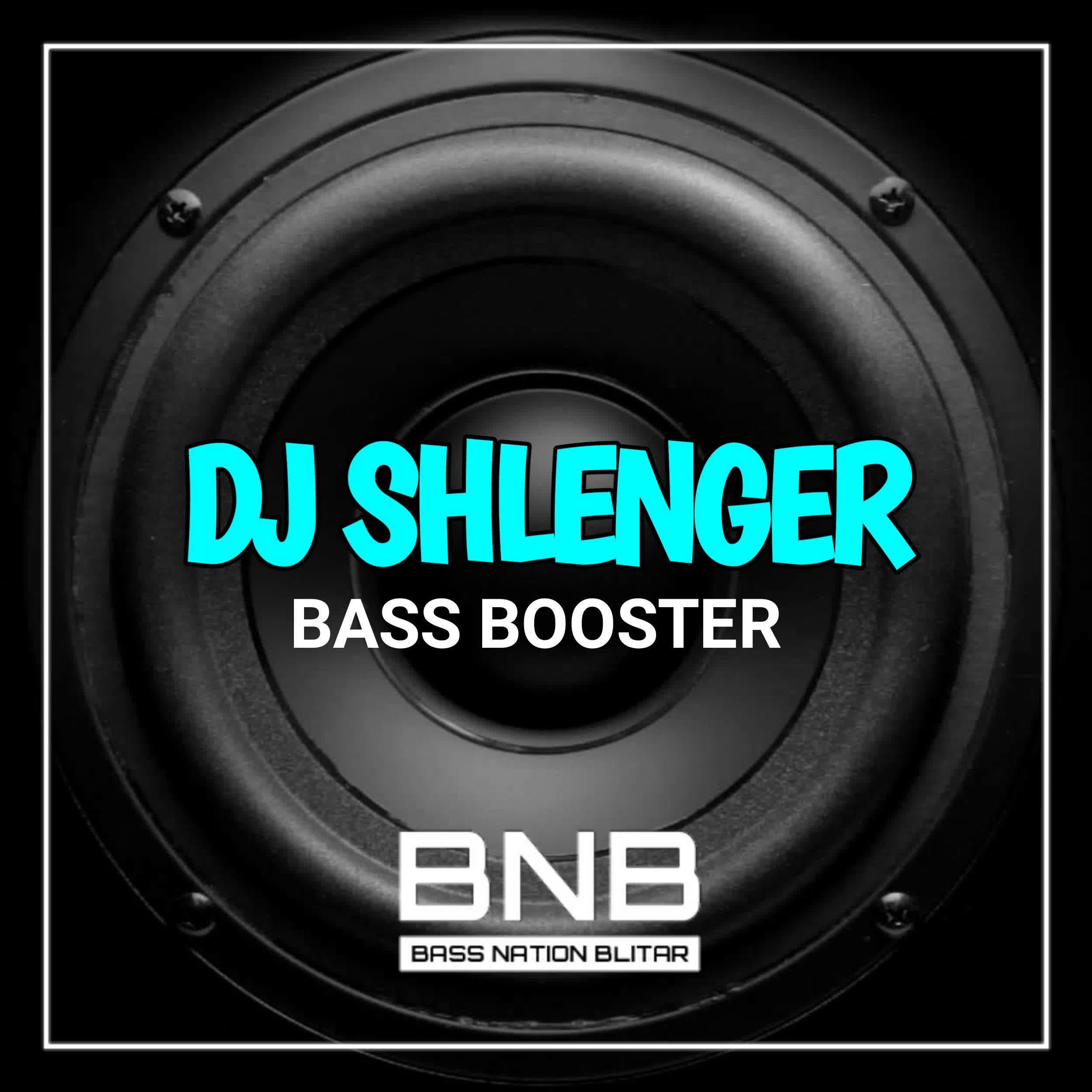 Постер альбома DJ Shlenger Bass Booster