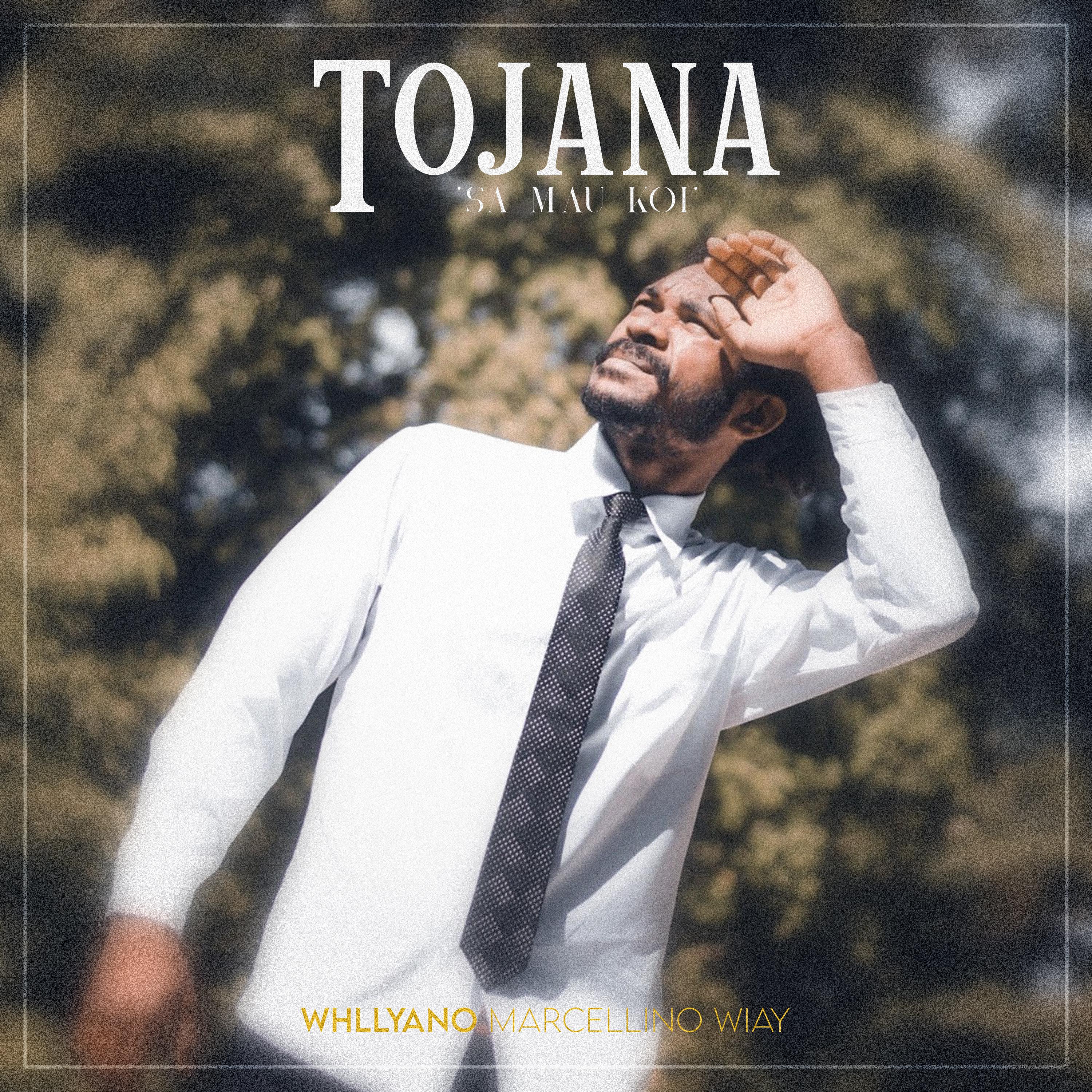 Постер альбома Tojana