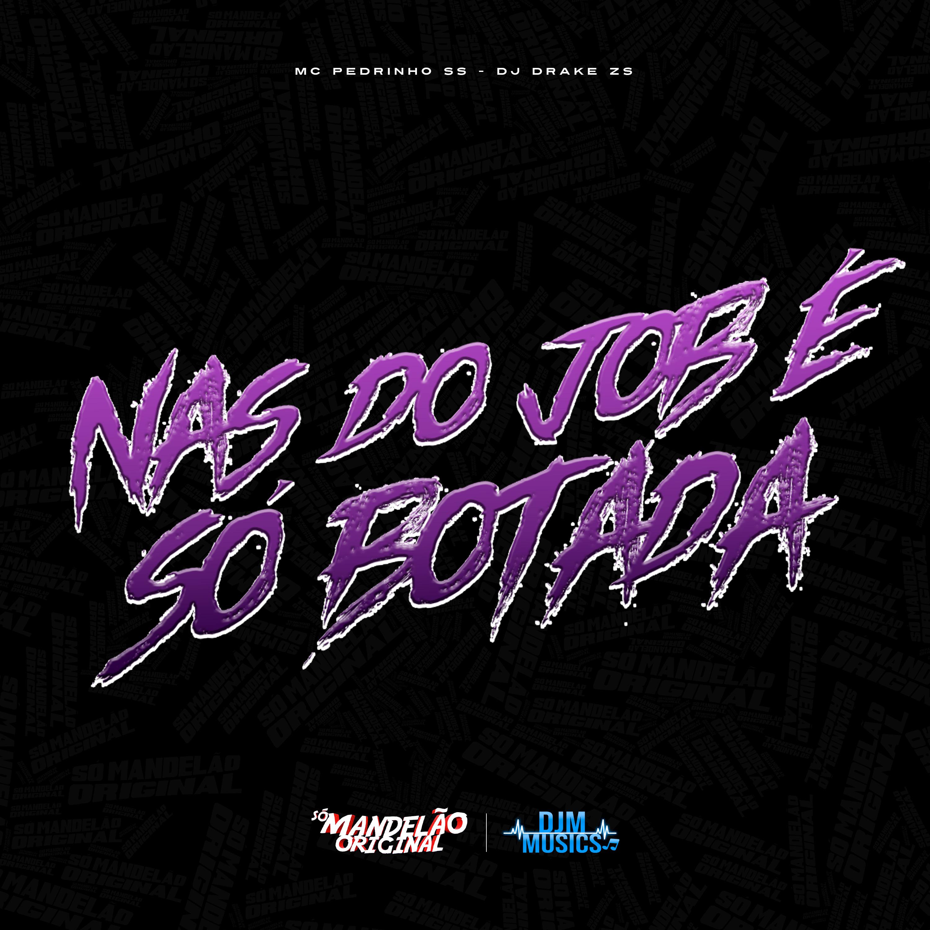 Постер альбома Nas do Job e So Botada