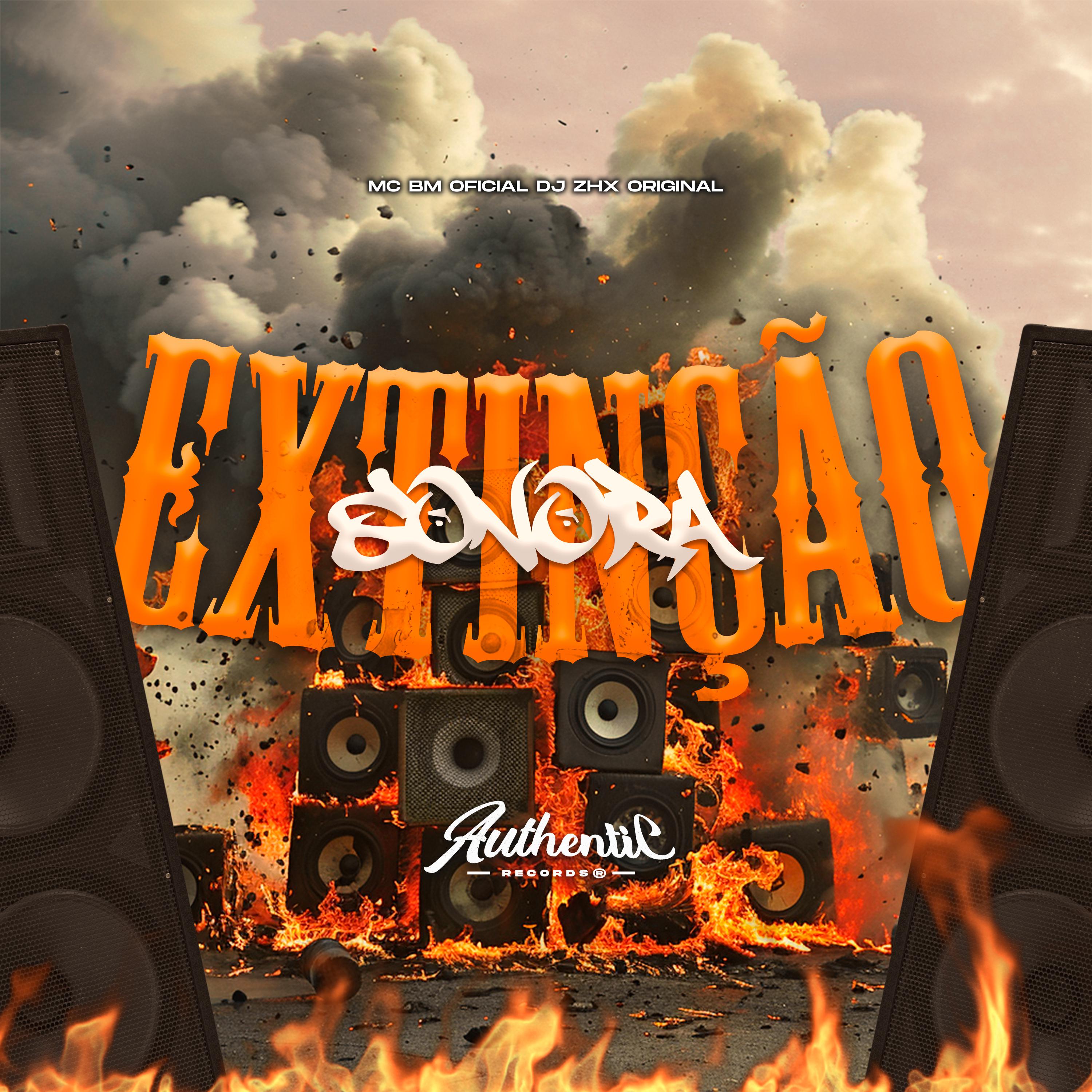 Постер альбома Extinção Sonora