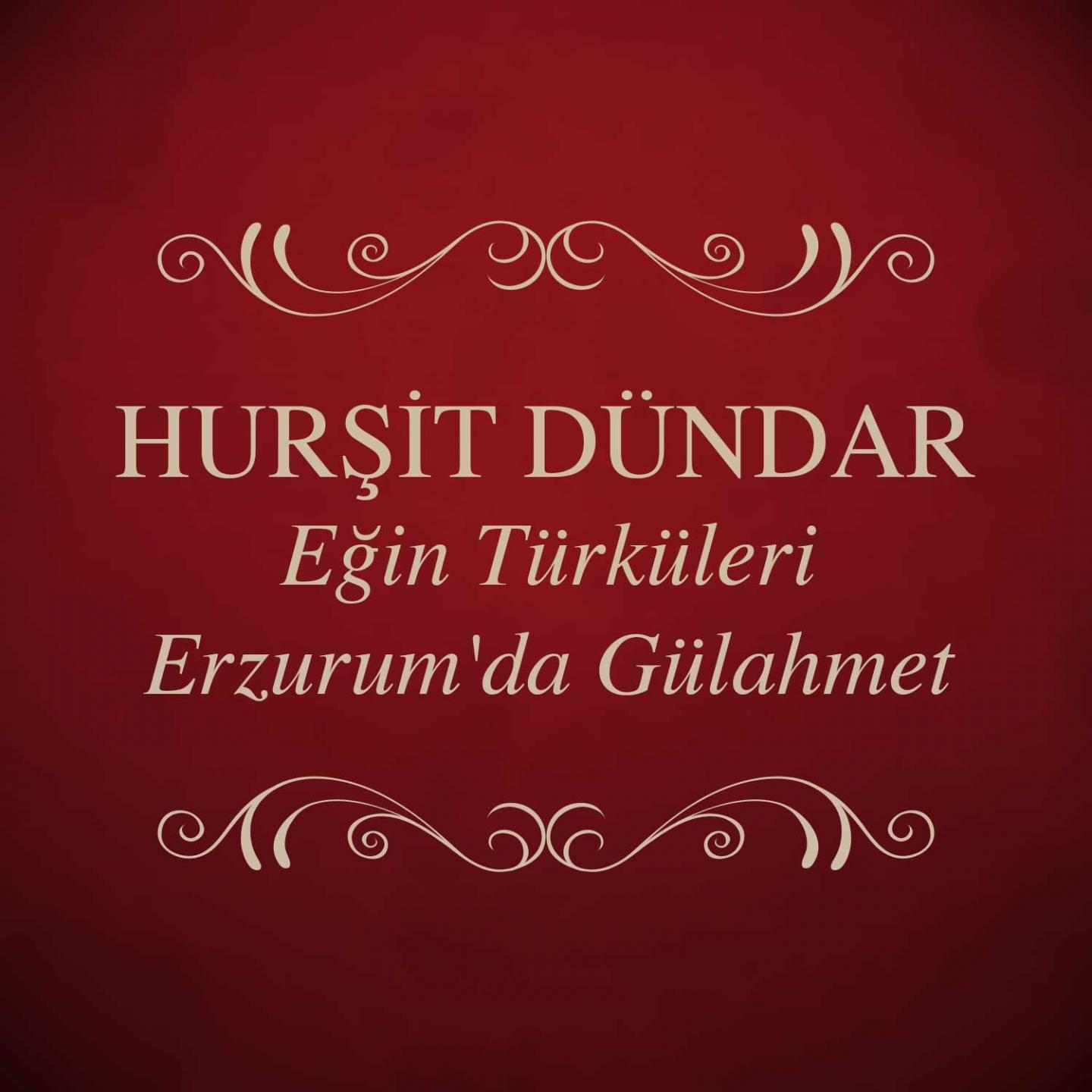 Постер альбома Eğin Türküleri - Erzurum'da Gülahmet
